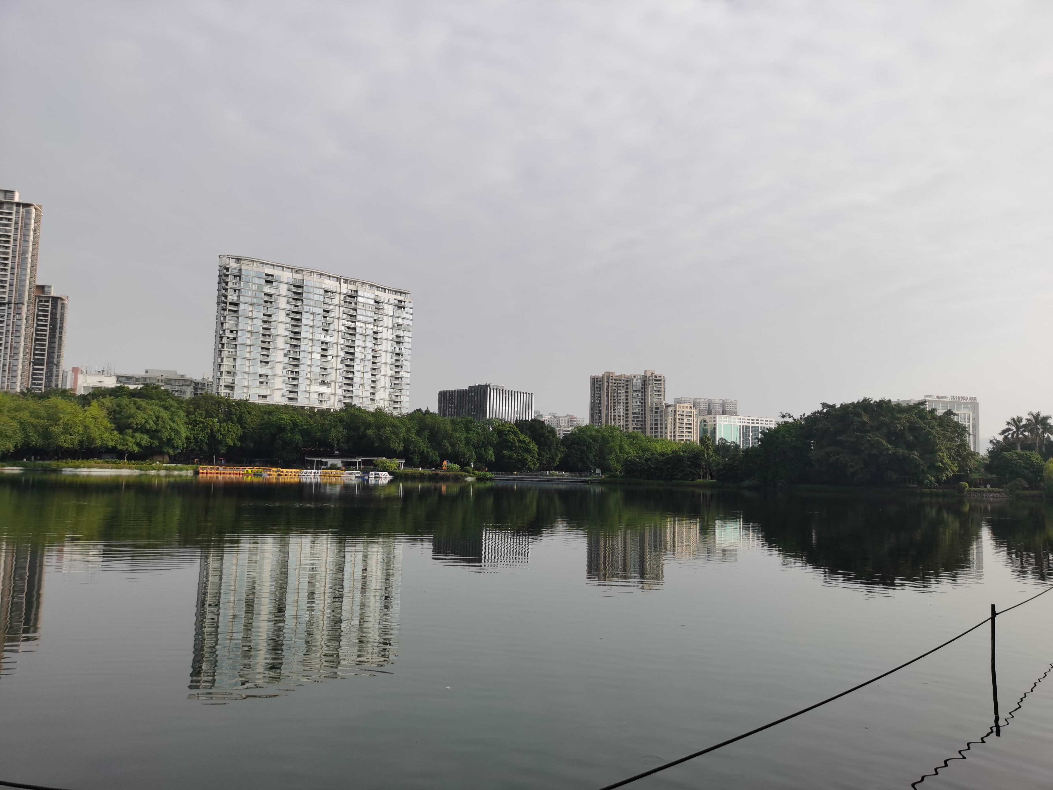 流花湖公园
