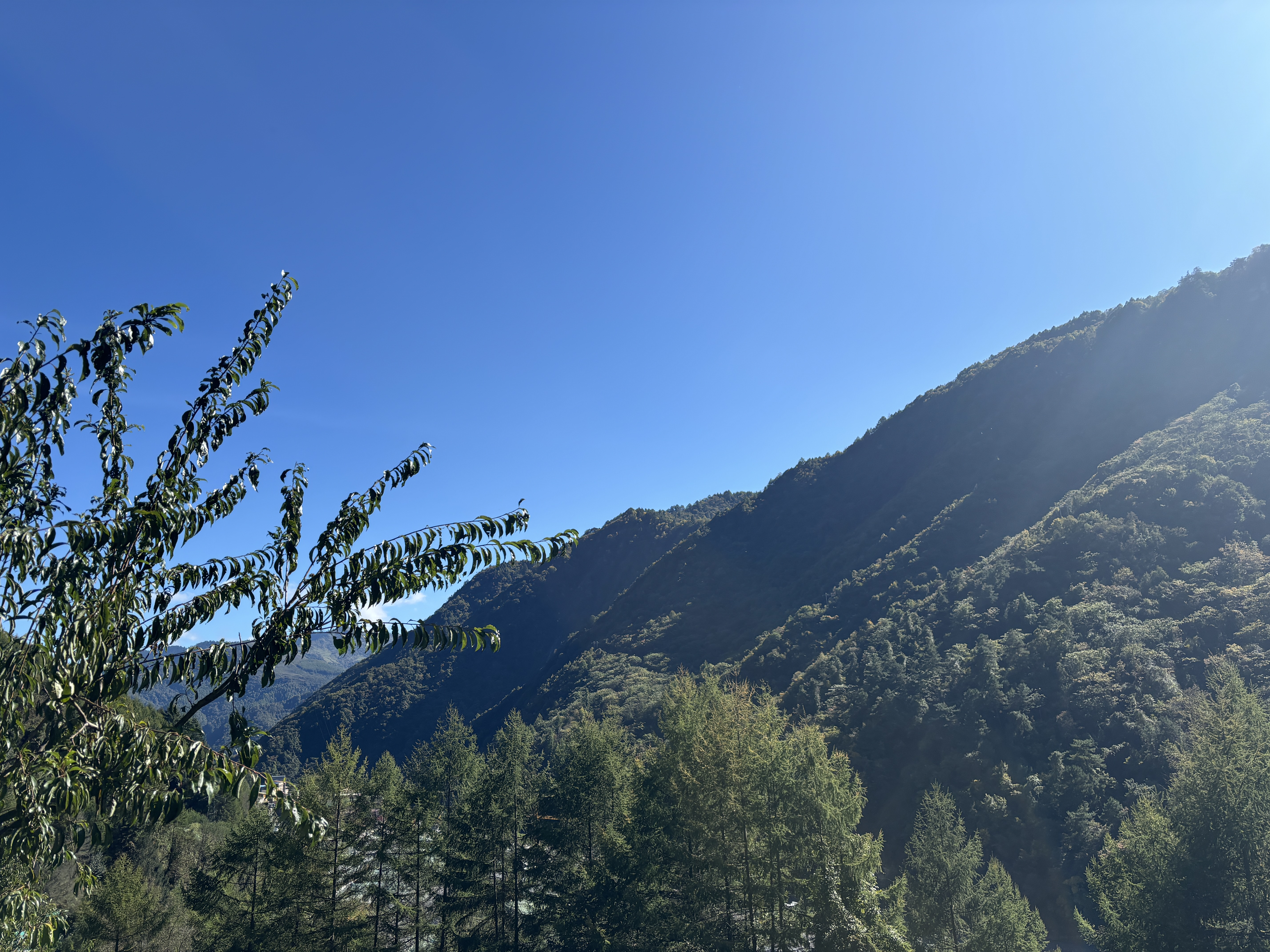 松林湾