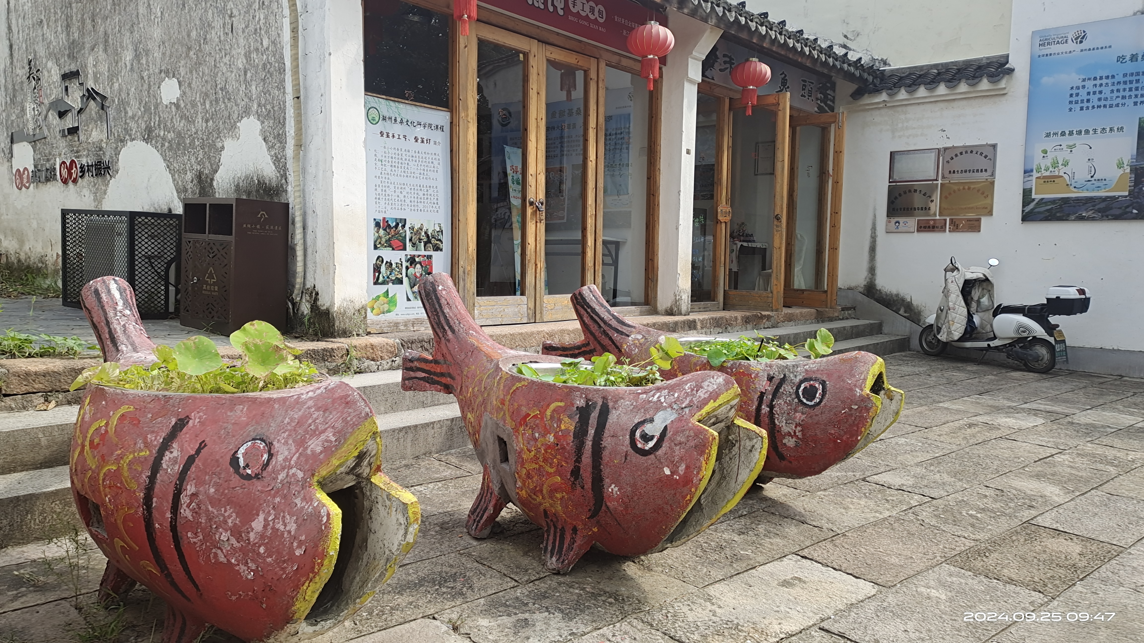 漫游荻港古镇