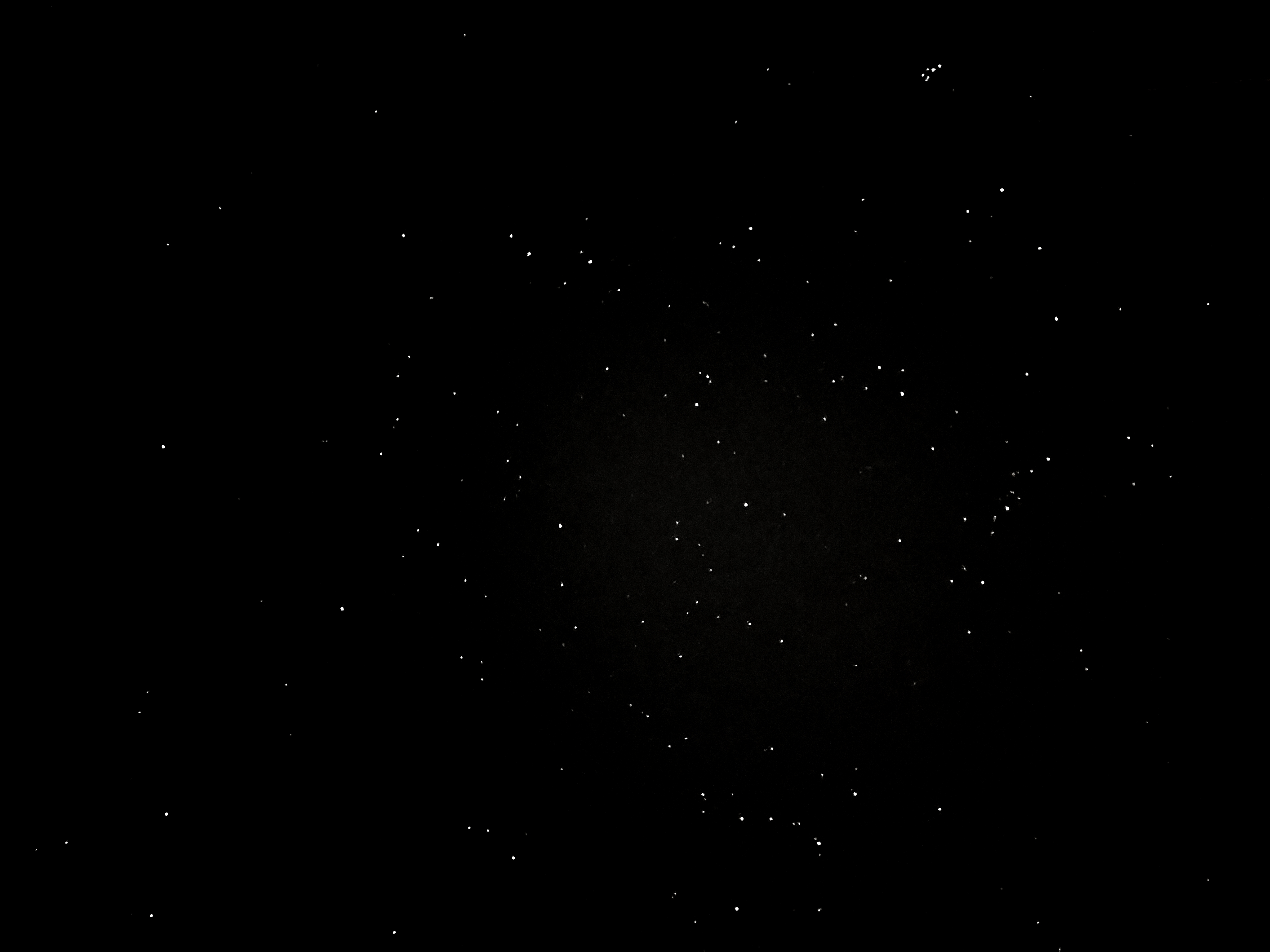 看星星啦。
