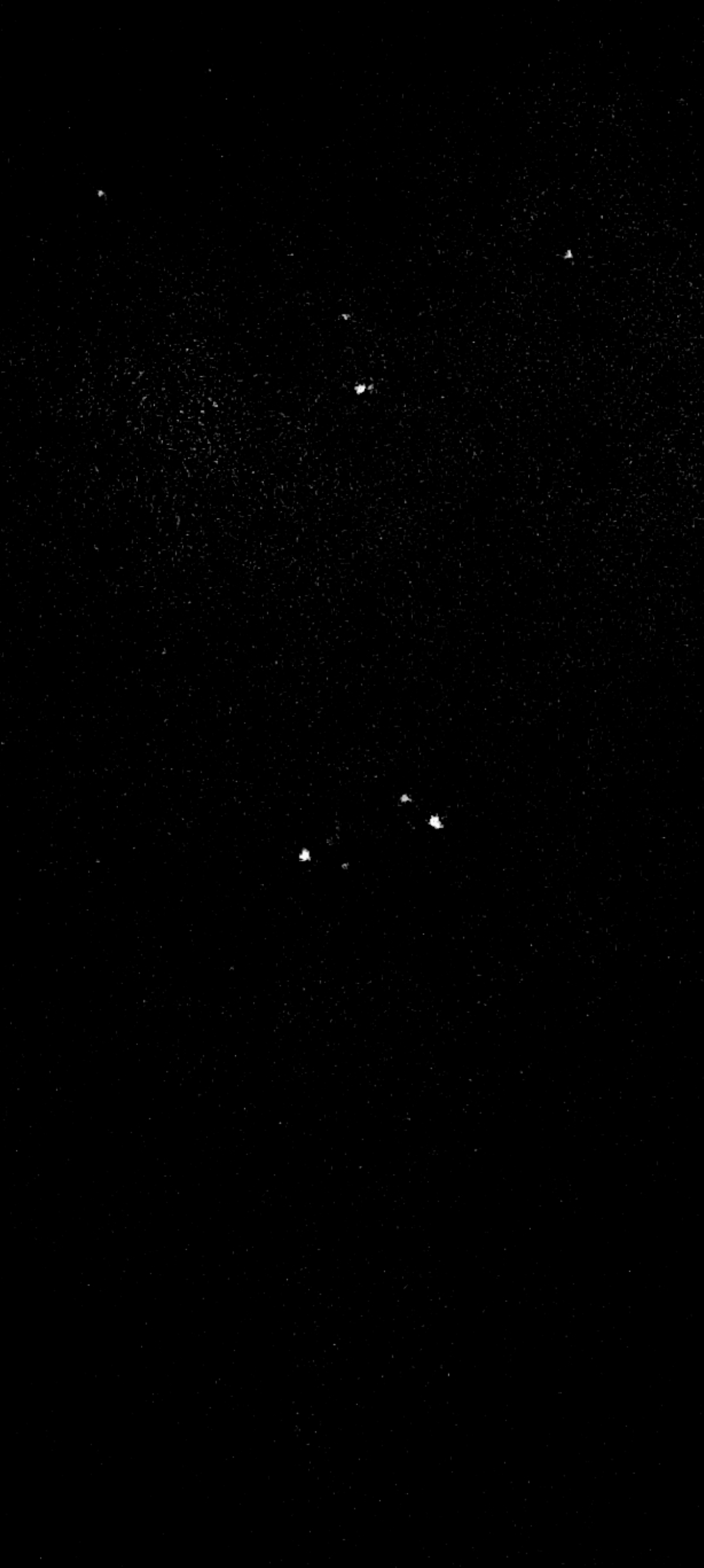 看星星啦。