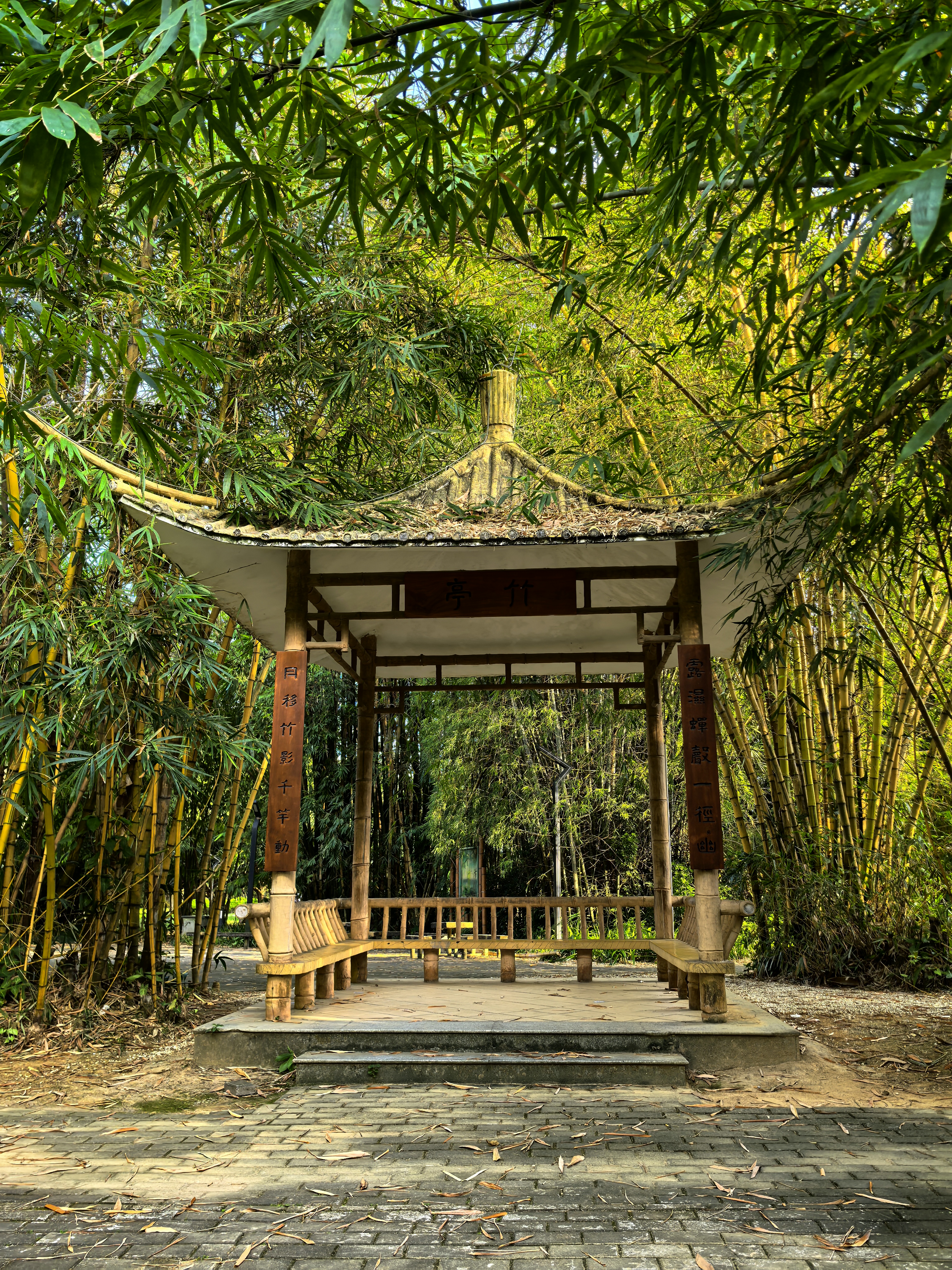 东湖公园竹园