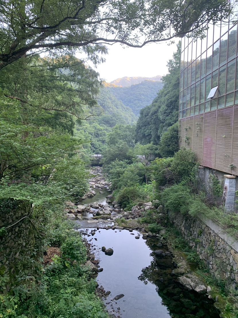 漂亮的泡池