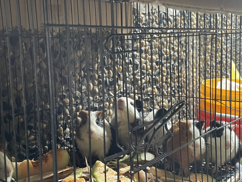 瓶窑老街