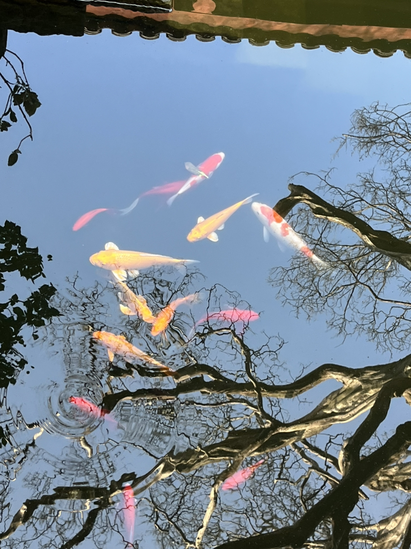广元剑门关