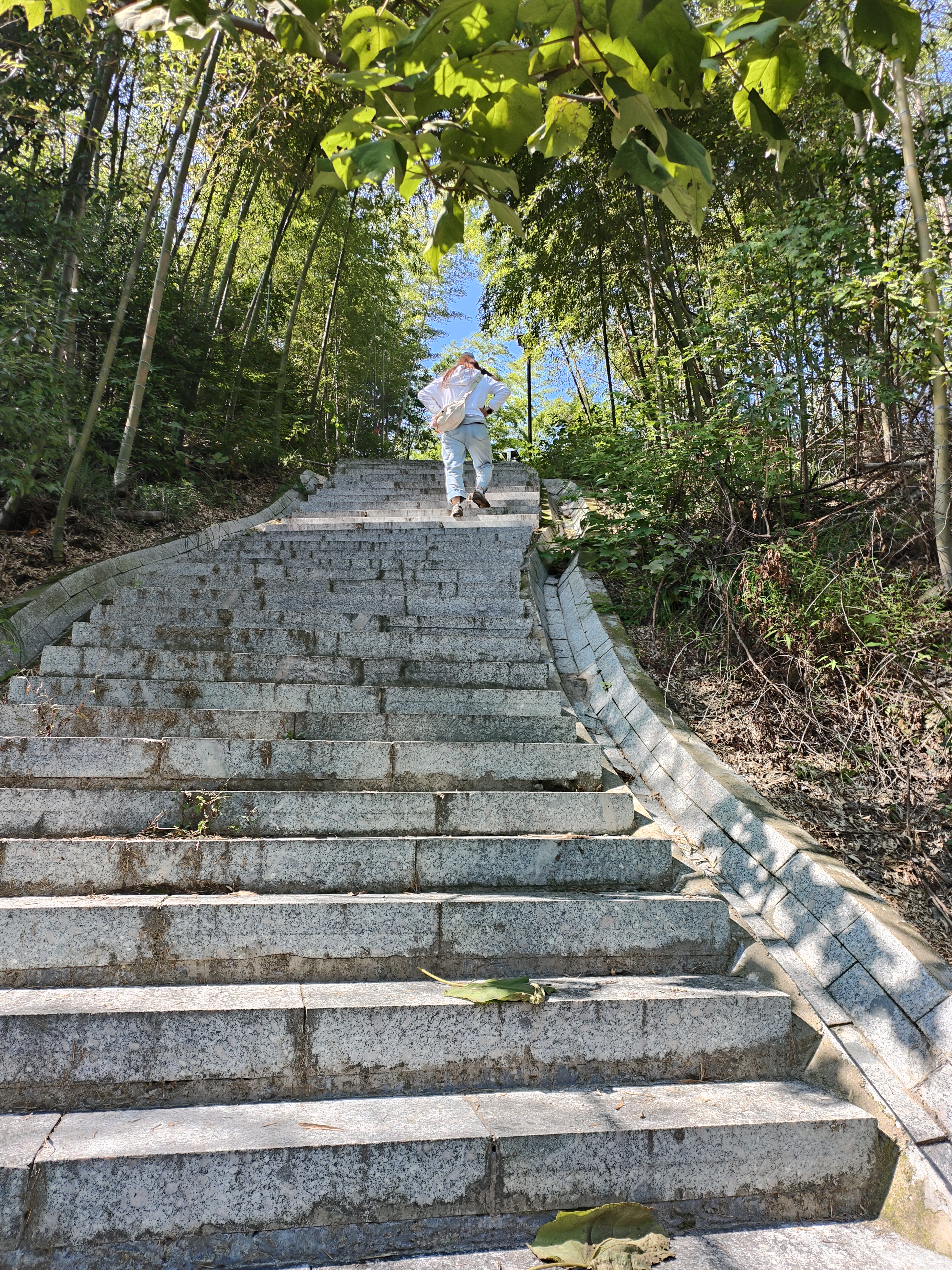 2024.10.9 唐道·独松关（六）