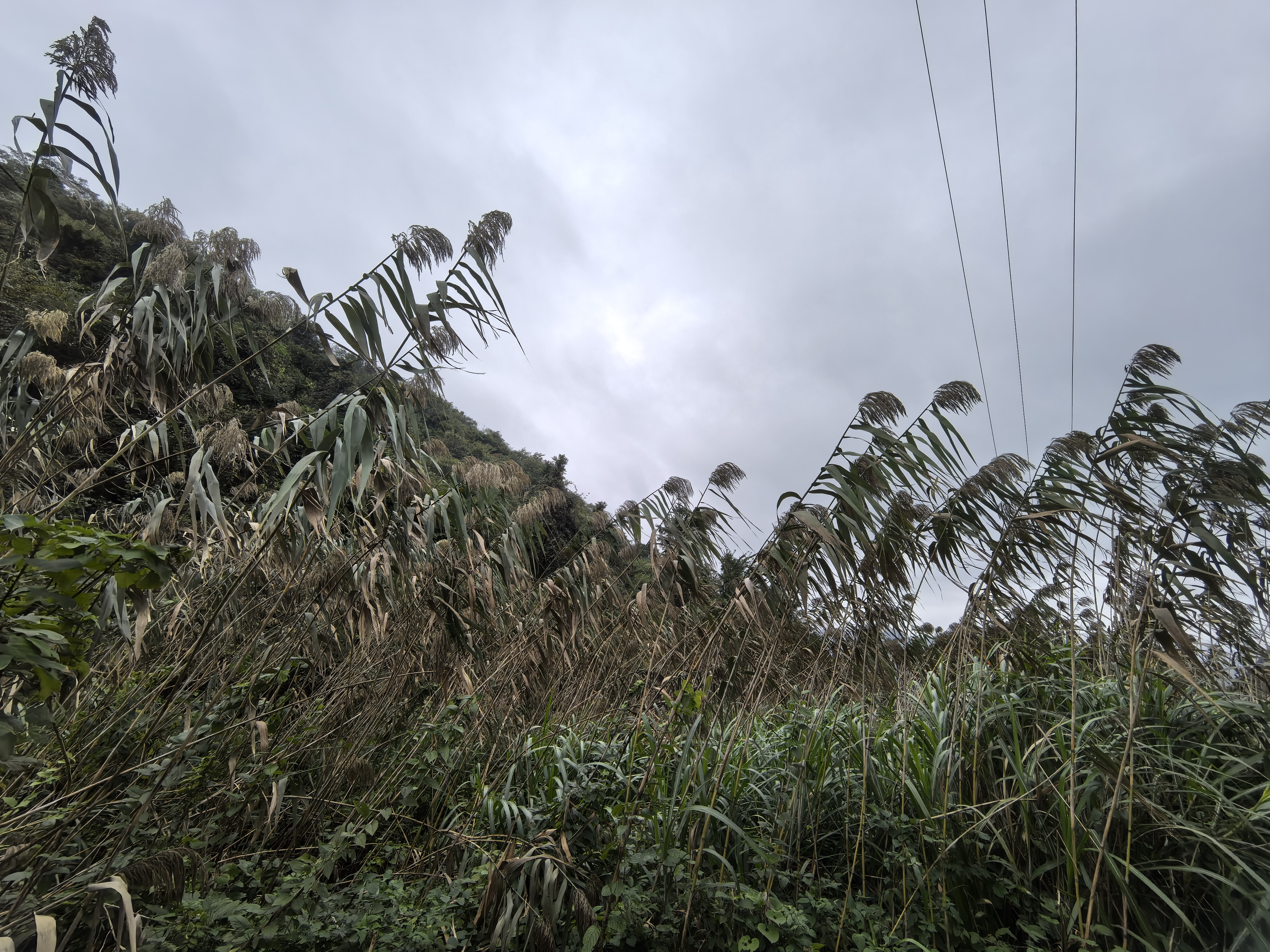 寻访马岭美女峰