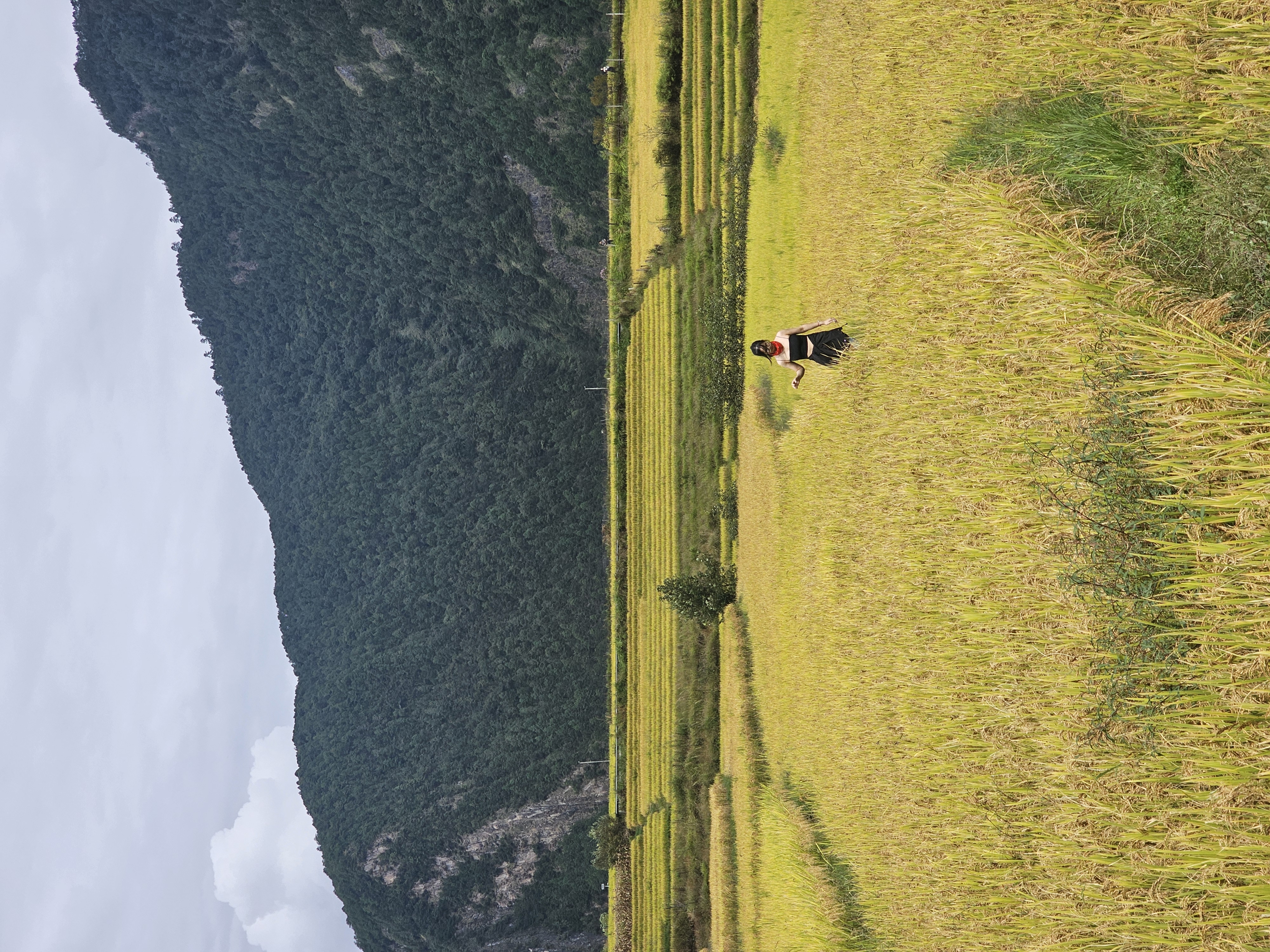 怒江大峡谷的雨