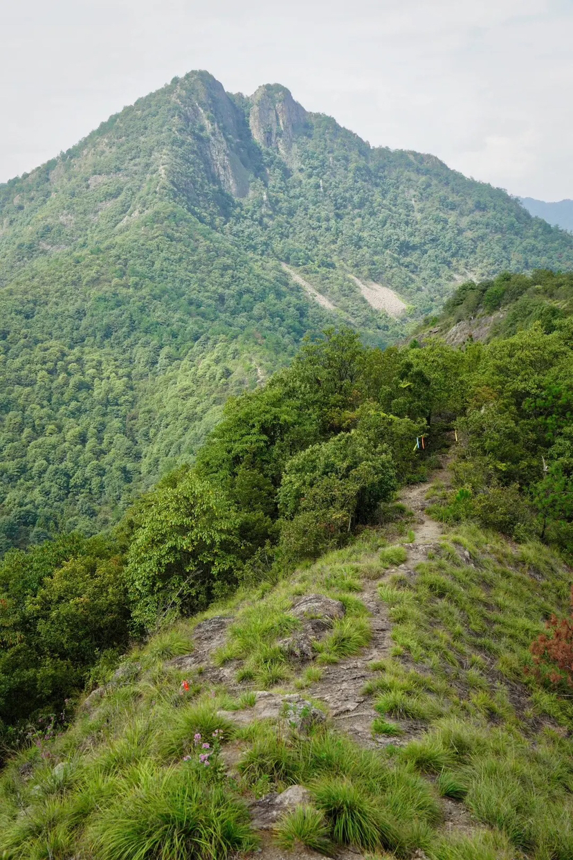野攀·浦江云掌岩-金子岩-薄刀岩环线