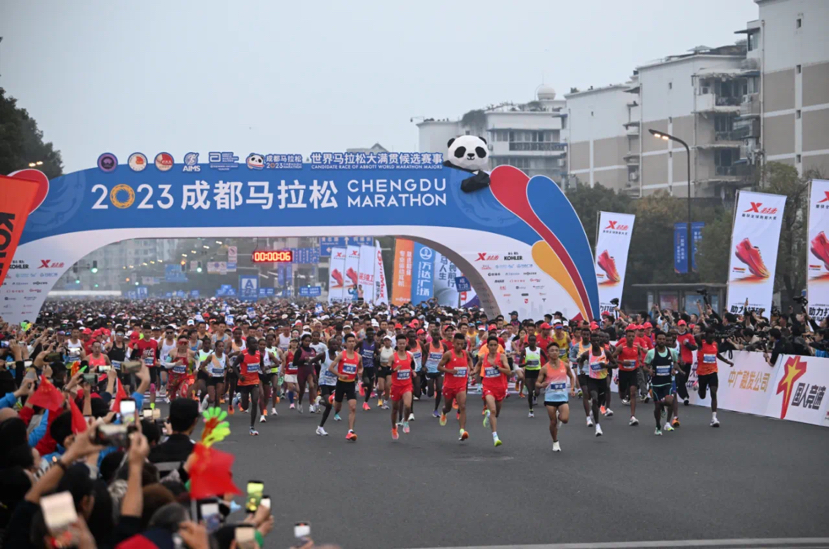 2023成马