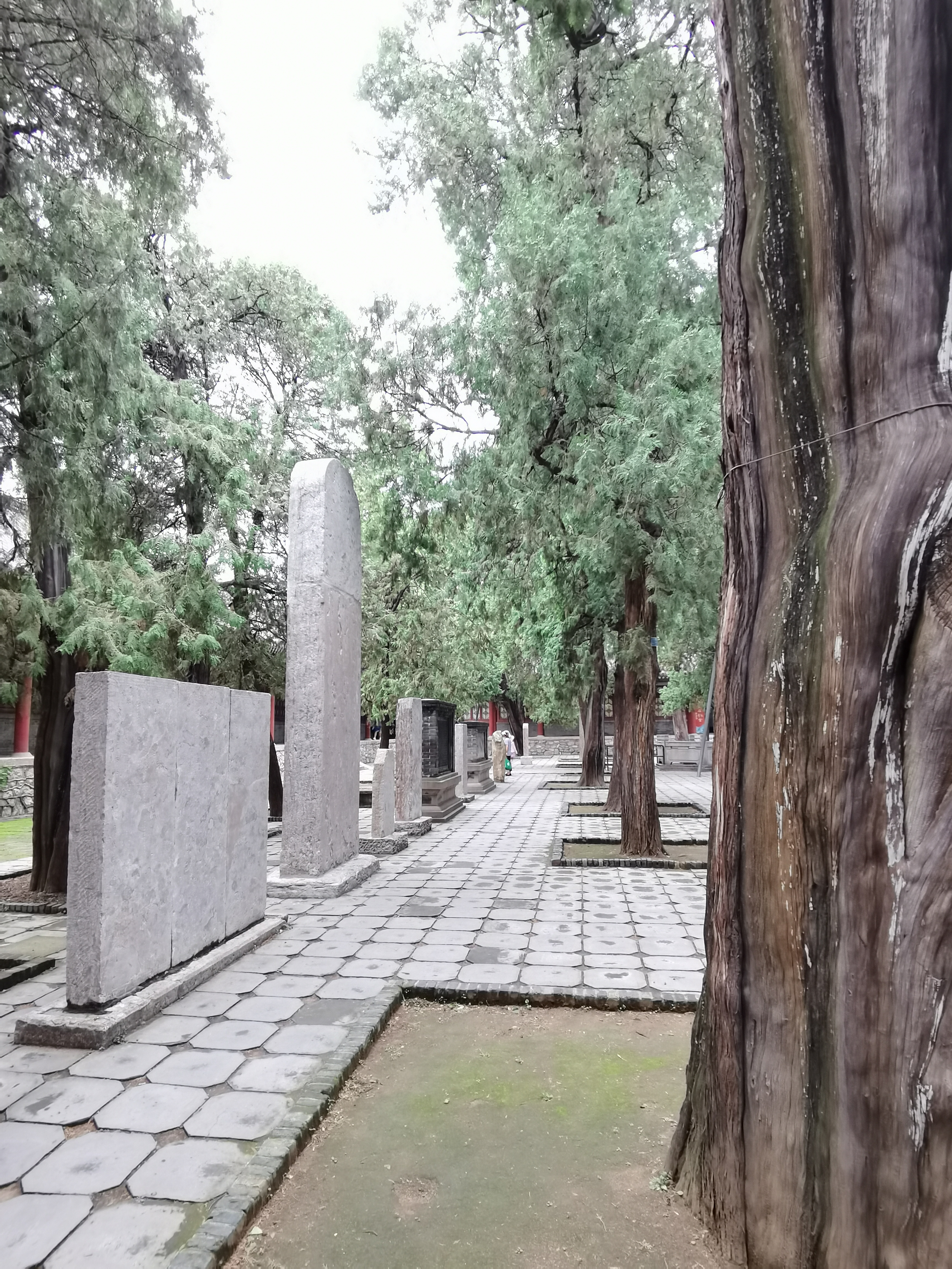 岱庙