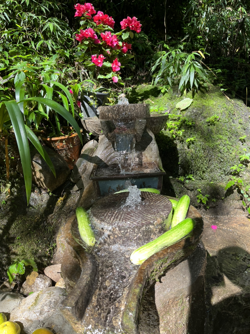 青城山