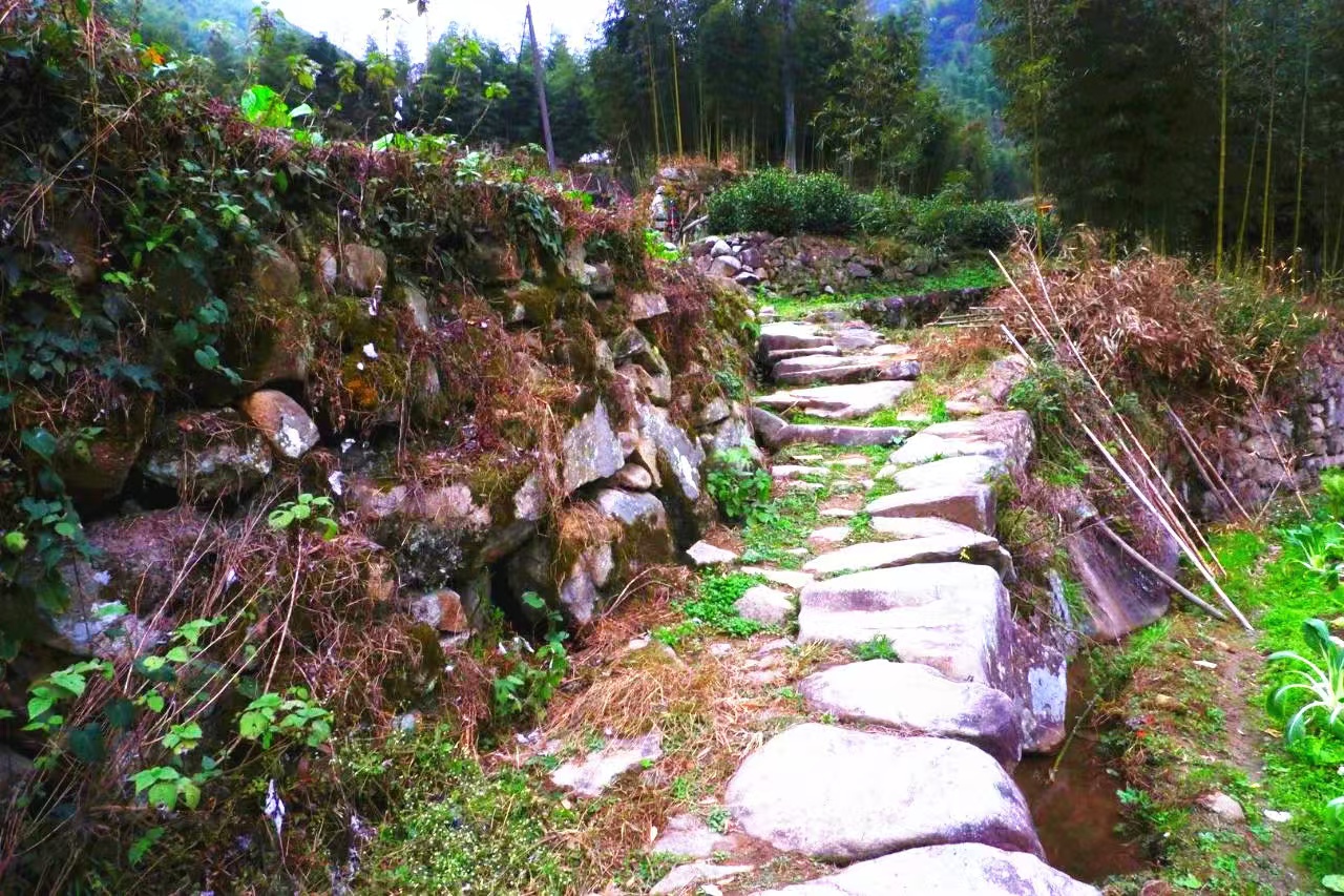 龙冷古道