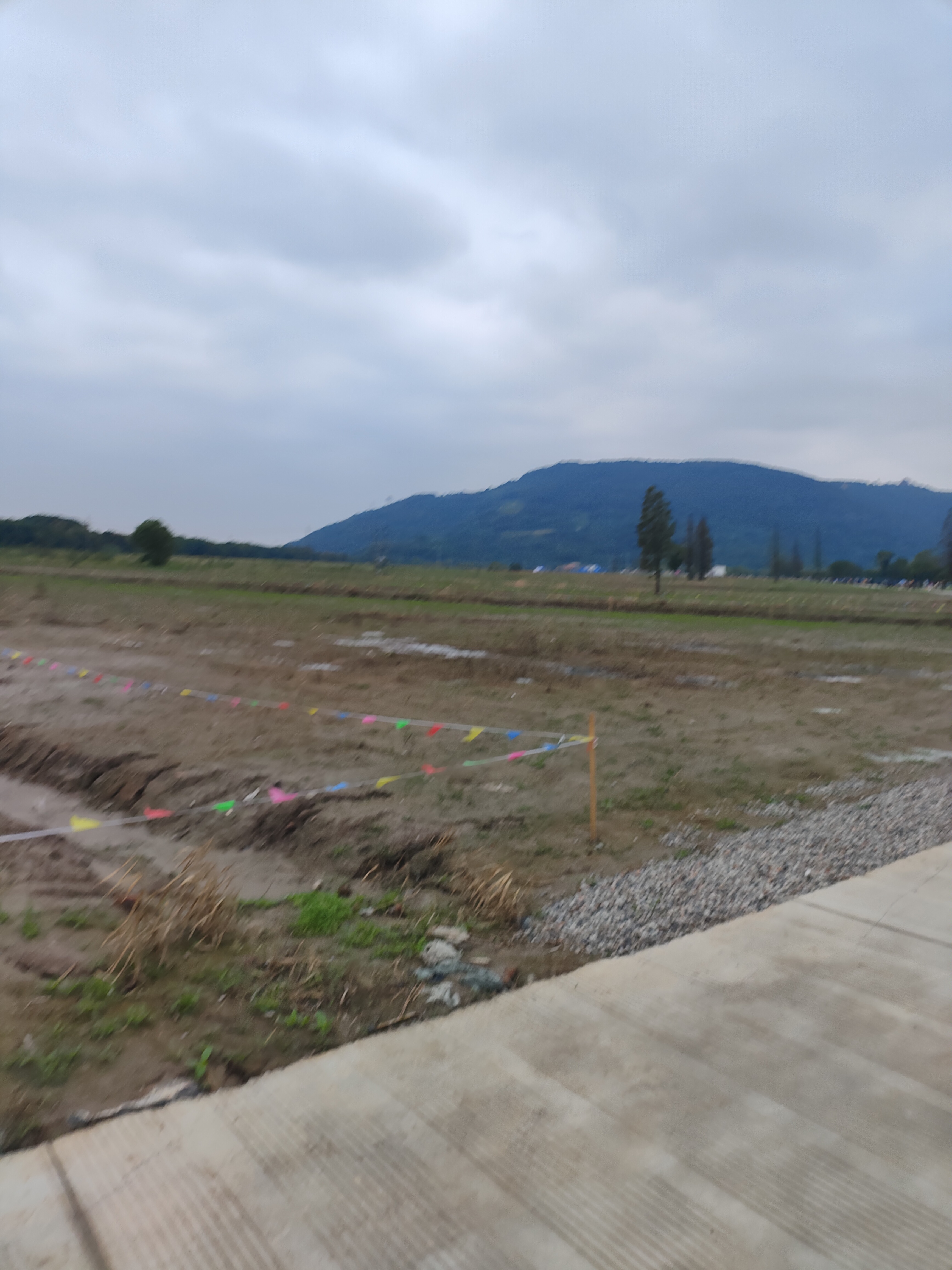 2024.10.19 脉动回来（一）