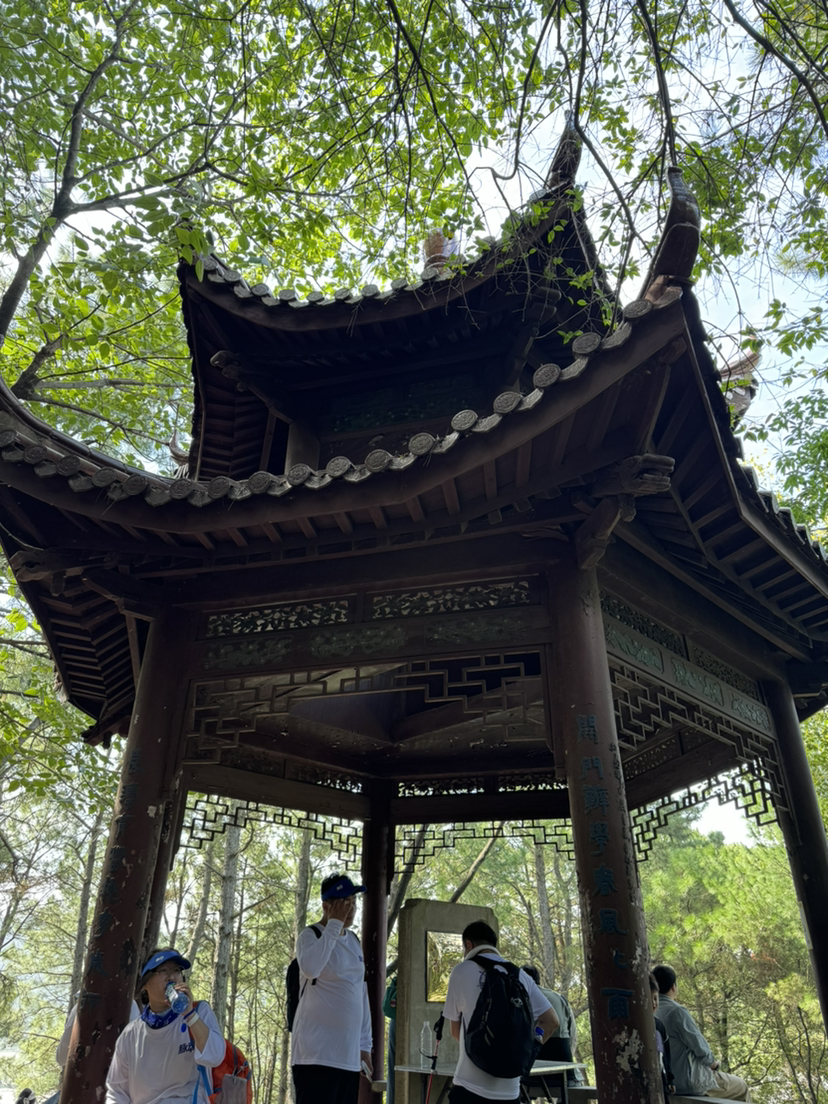 脉动回来