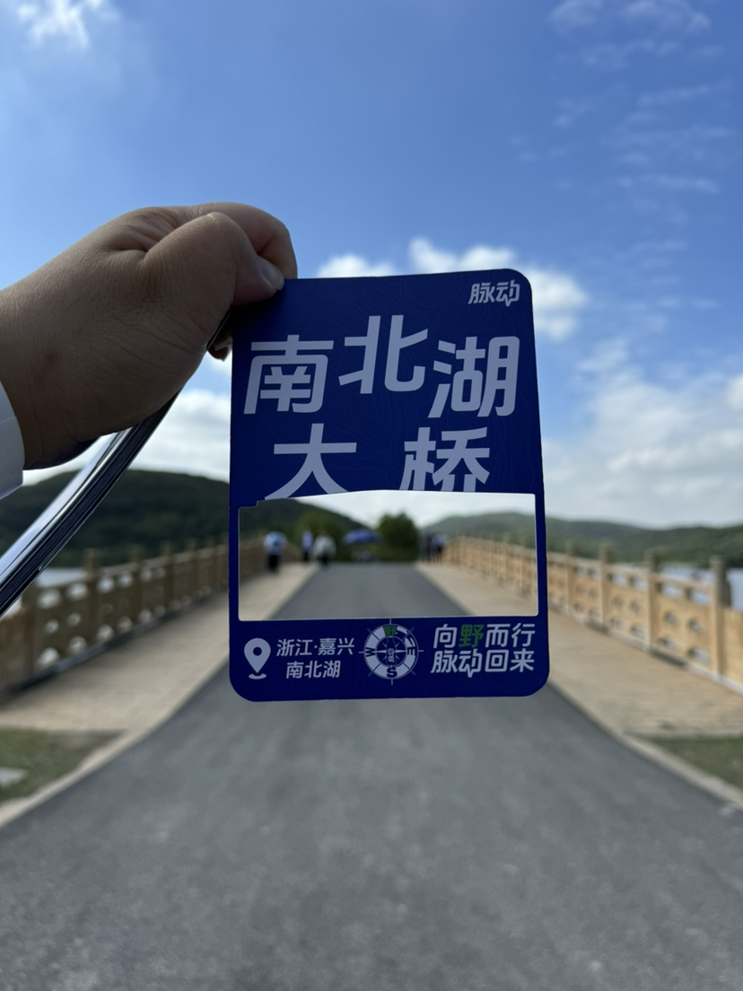 脉动回来
