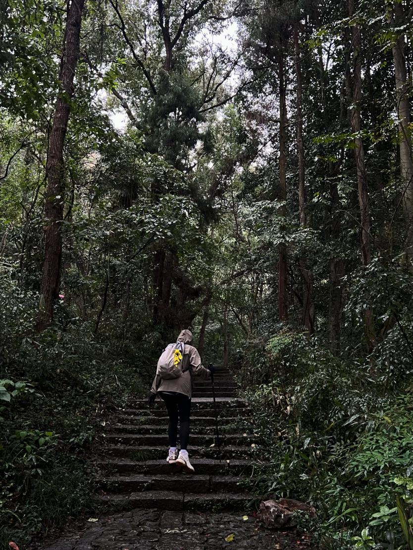 西湖群山·满陇桂雨｜华东秋色，满陇正是桂花季