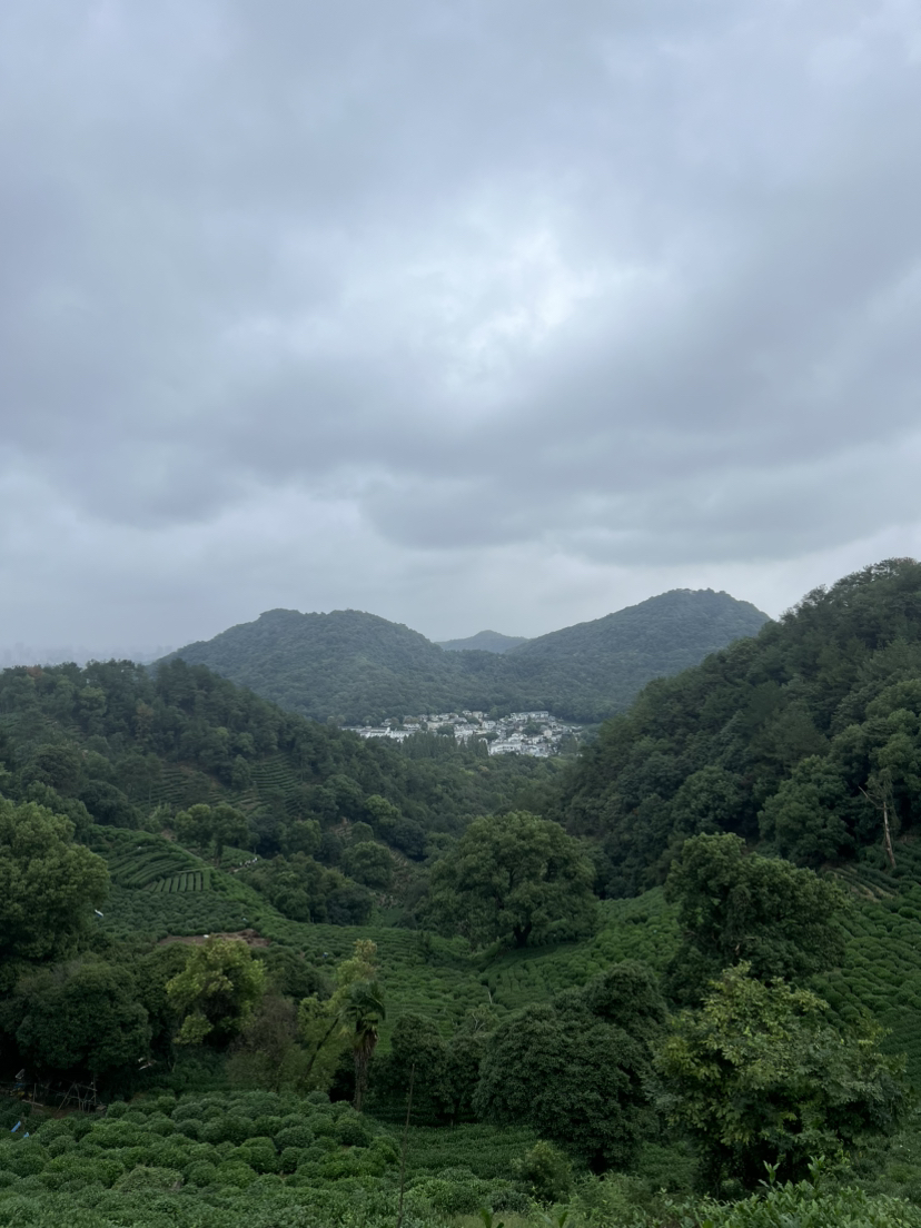 西湖群山·满陇桂雨｜华东秋色，满陇正是桂花季