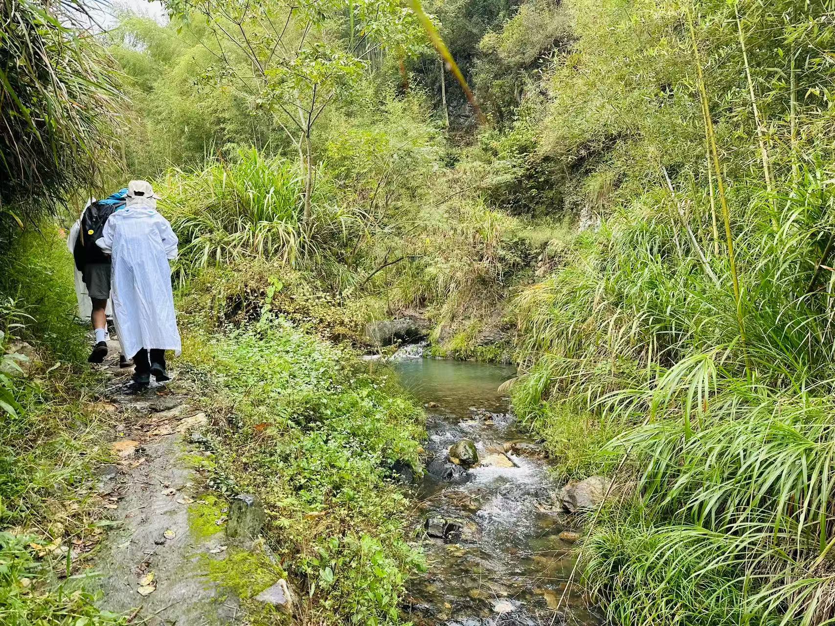 章里古道-遇到滴水穿石