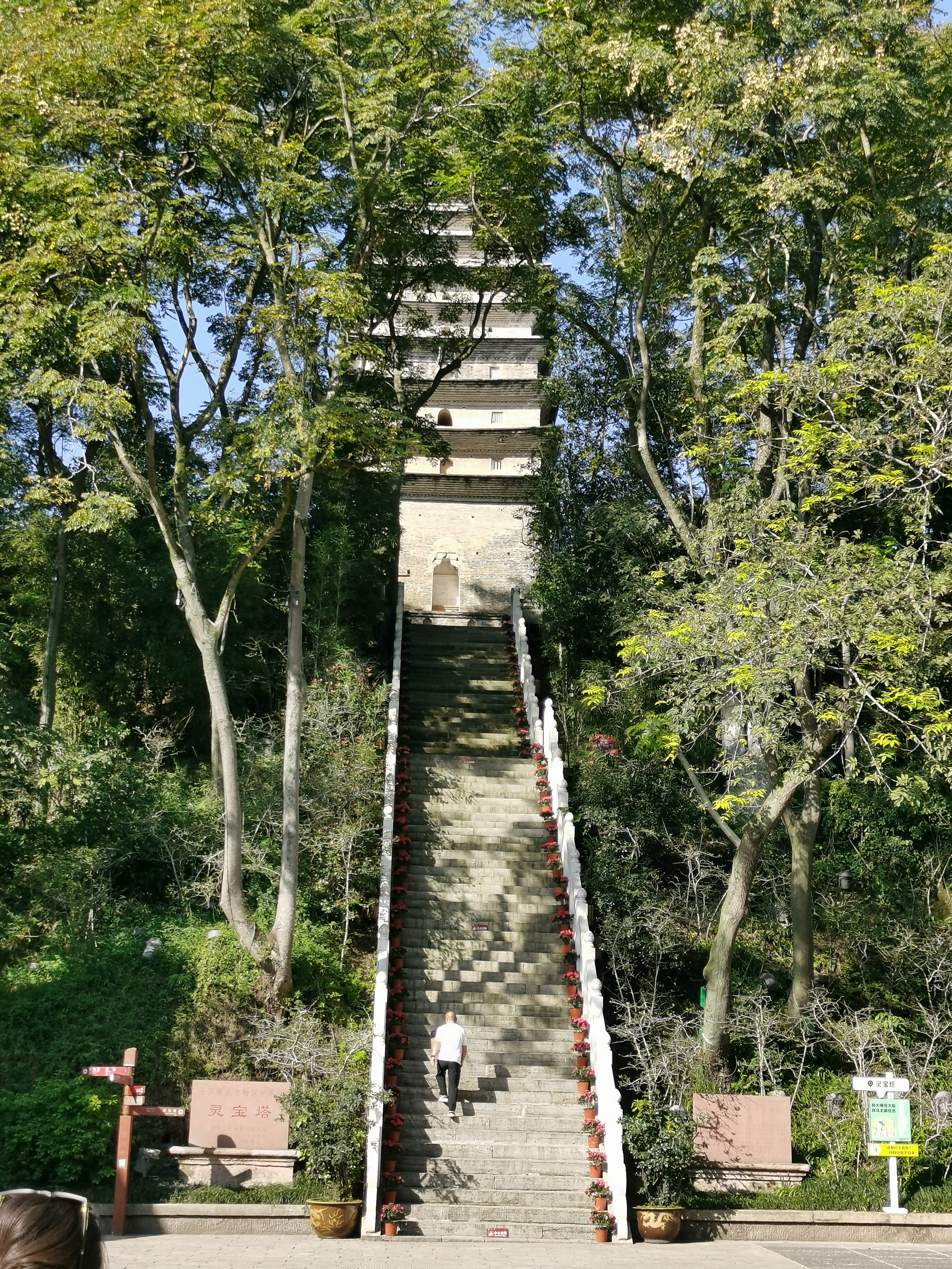 乐山