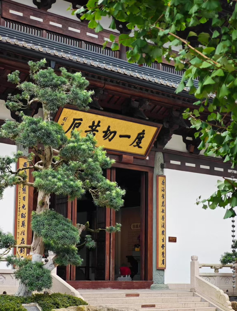 周末离得远远的快步伐,打卡杭州三大寺之一-径山寺