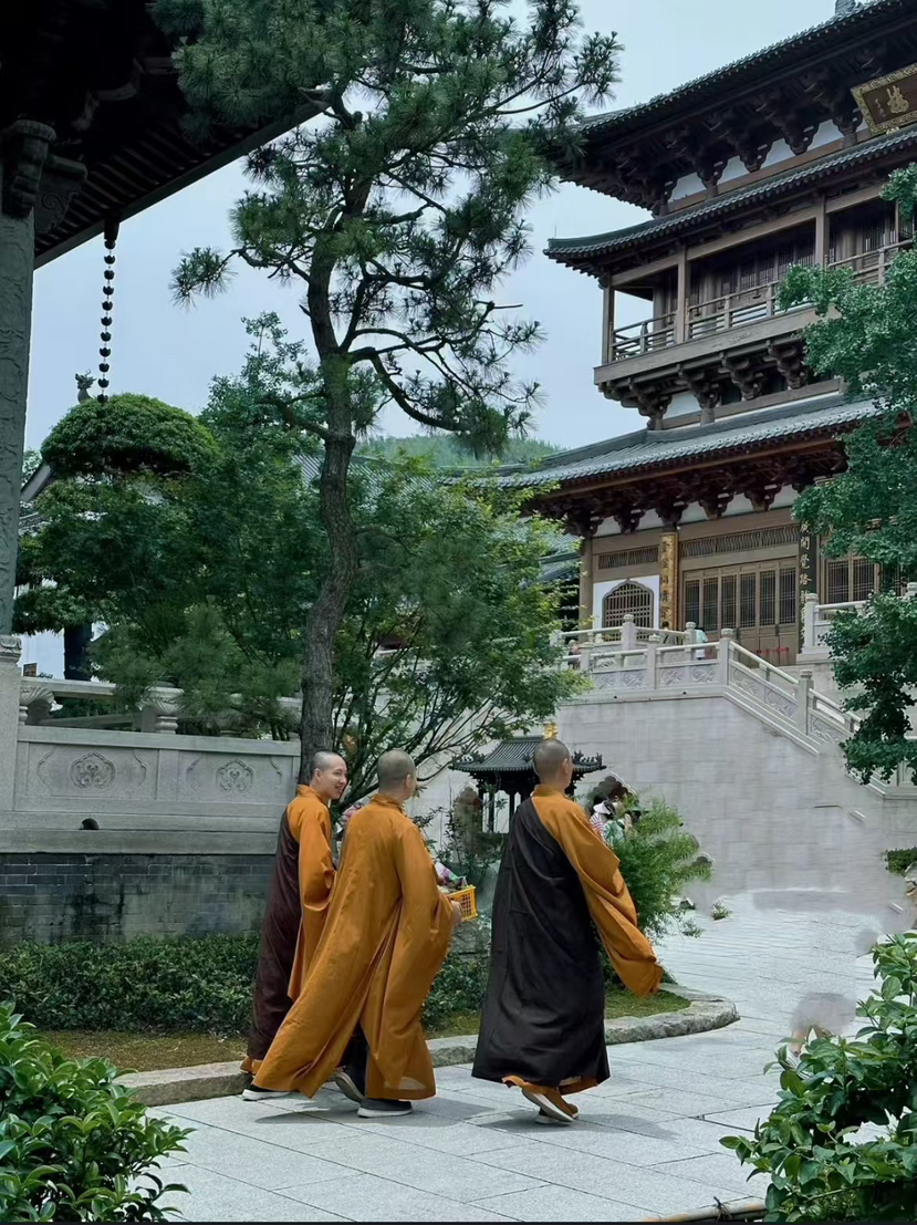 周末离得远远的快步伐,打卡杭州三大寺之一-径山寺