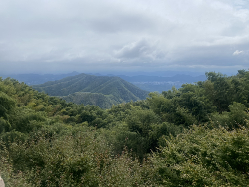 周末离得远远的快步伐,打卡杭州三大寺之一-径山寺