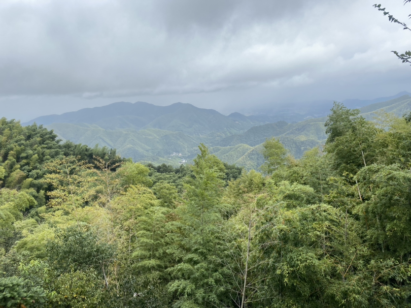 周末离得远远的快步伐,打卡杭州三大寺之一-径山寺