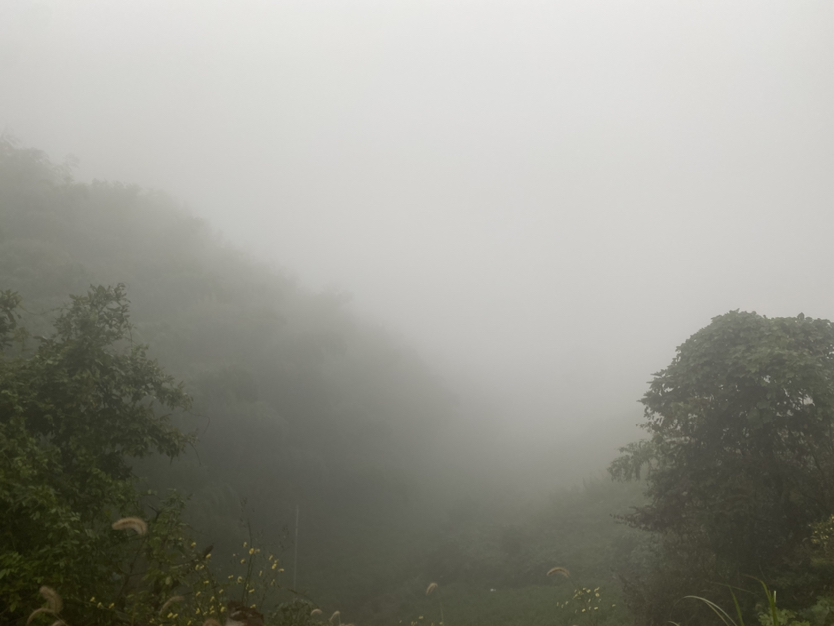 周末离得远远的快步伐,打卡杭州三大寺之一-径山寺