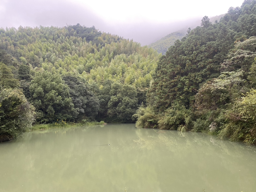 周末离得远远的快步伐,打卡杭州三大寺之一-径山寺