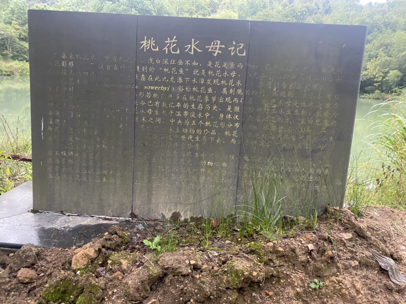 周末离得远远的快步伐,打卡杭州三大寺之一-径山寺