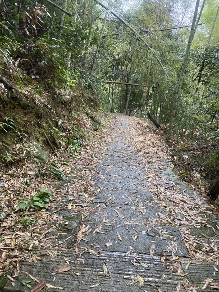 周末离得远远的快步伐,打卡杭州三大寺之一-径山寺