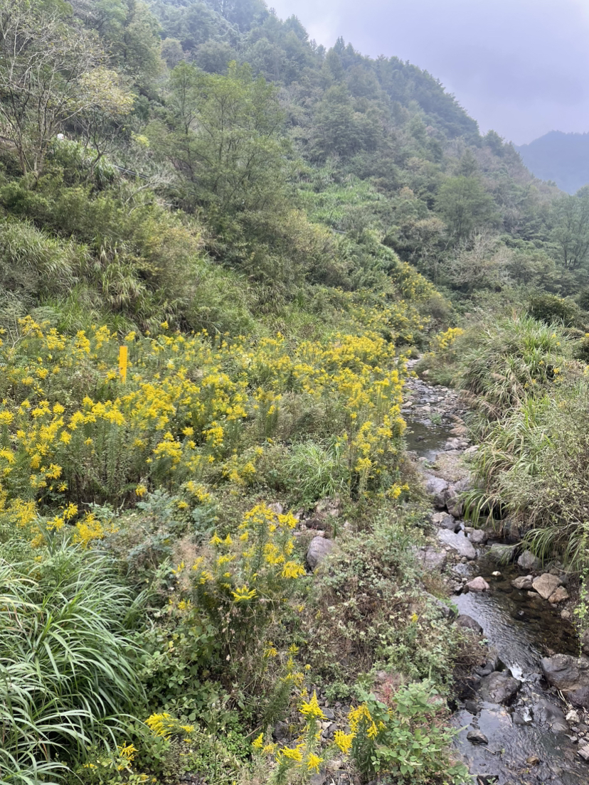 霞客古道新昌段