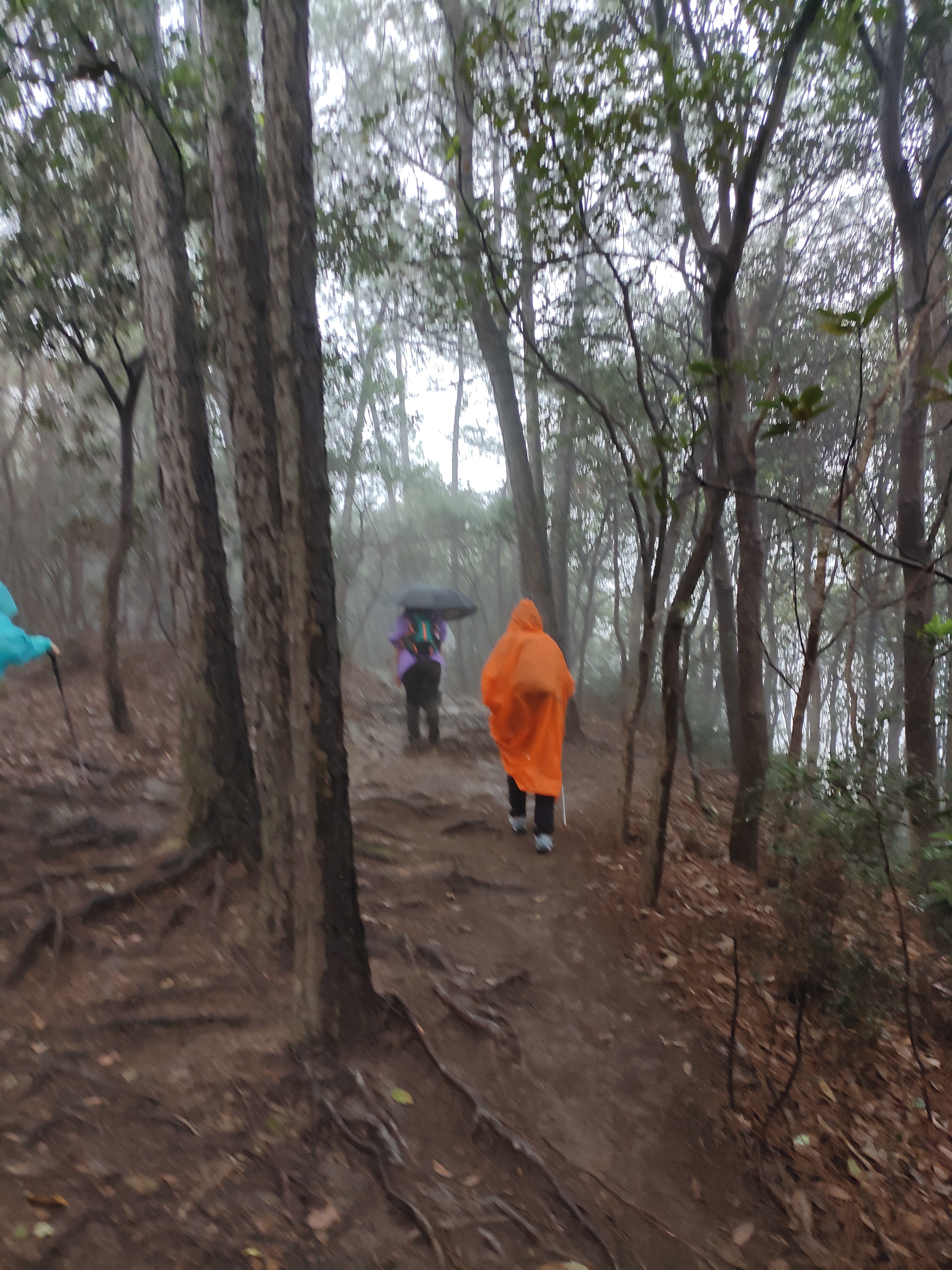 2024.10.15 满陇桂雨（二）