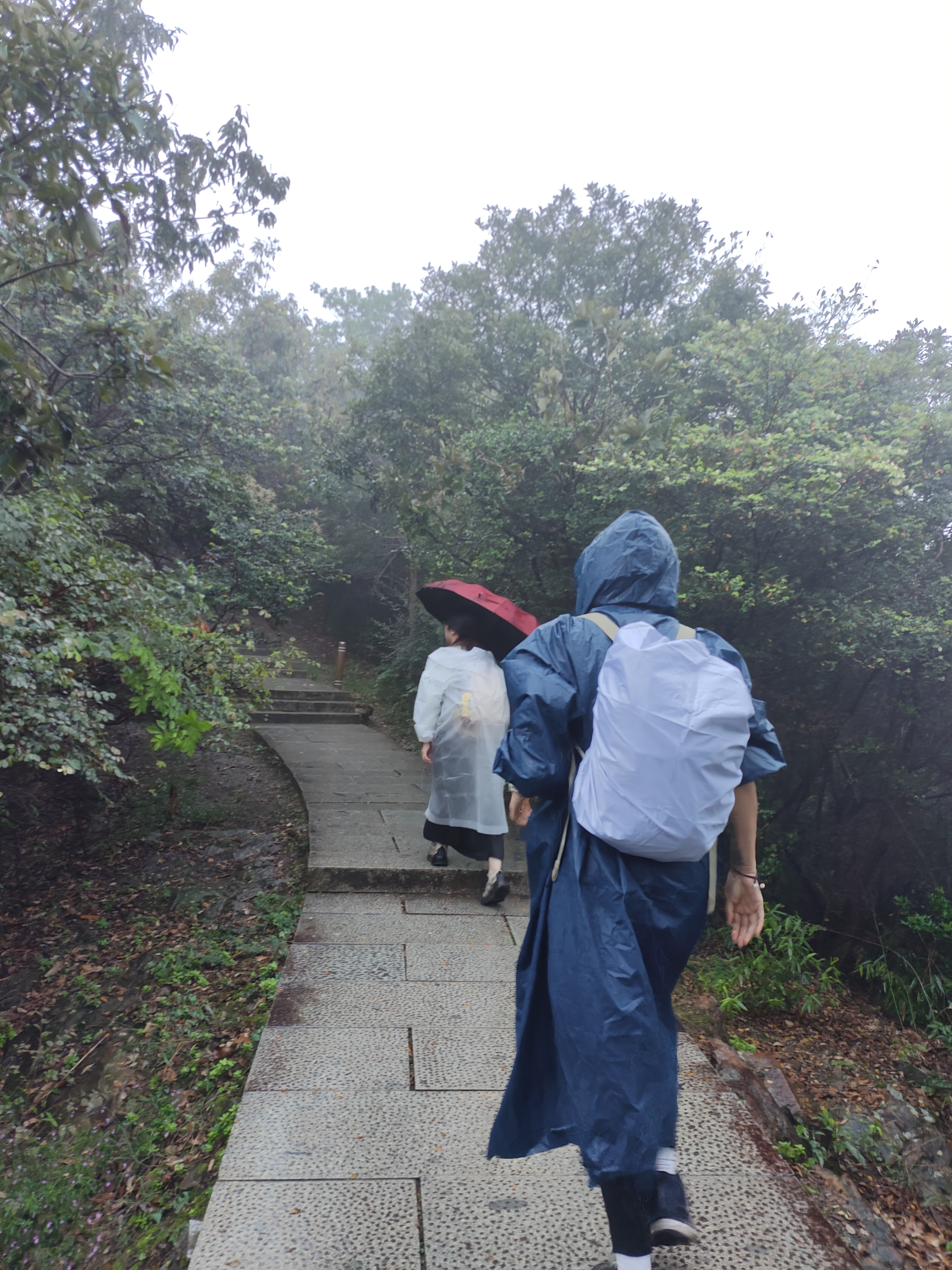 2024.10.15 满陇桂雨（二）