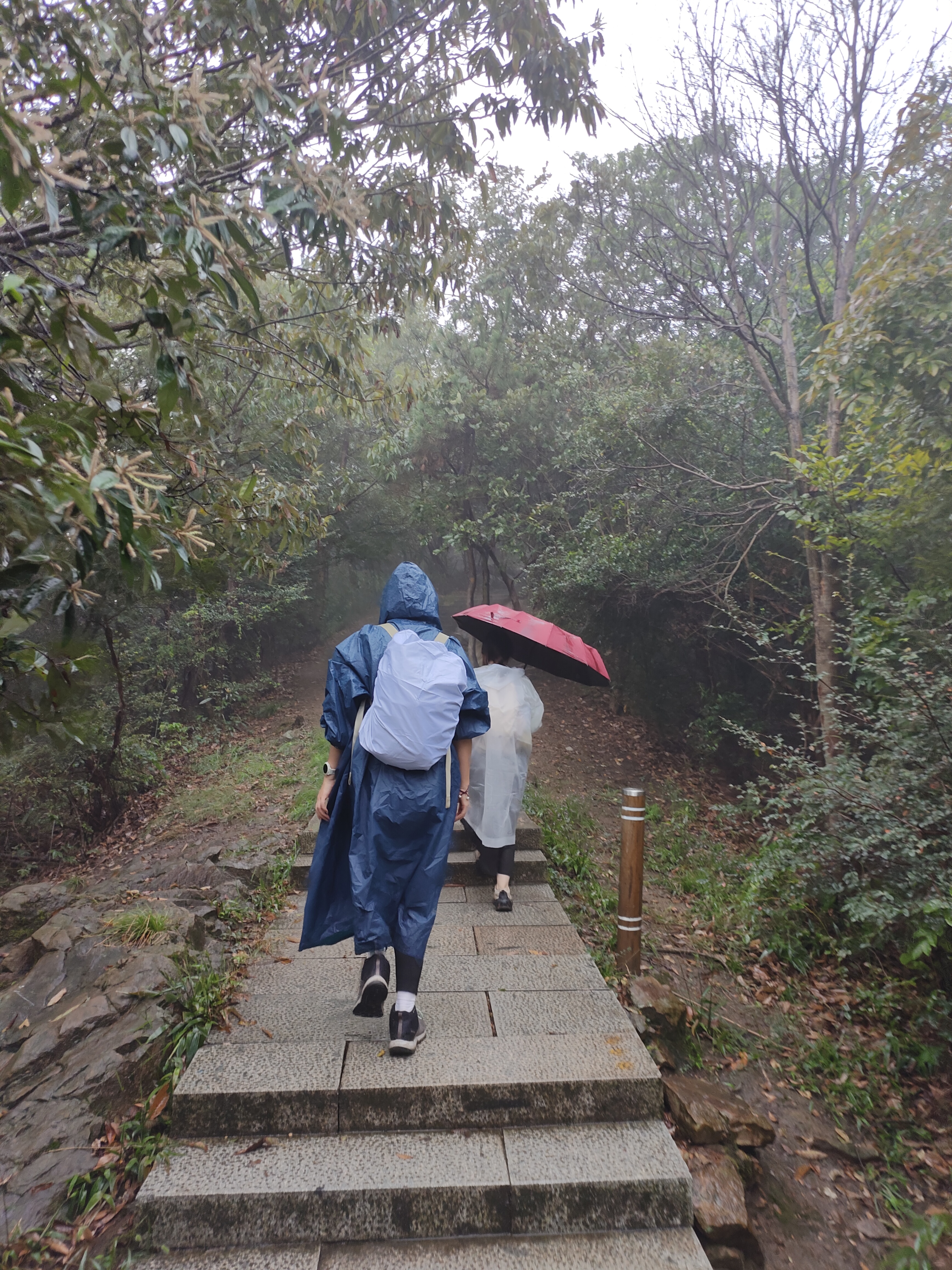 2024.10.15 满陇桂雨（二）