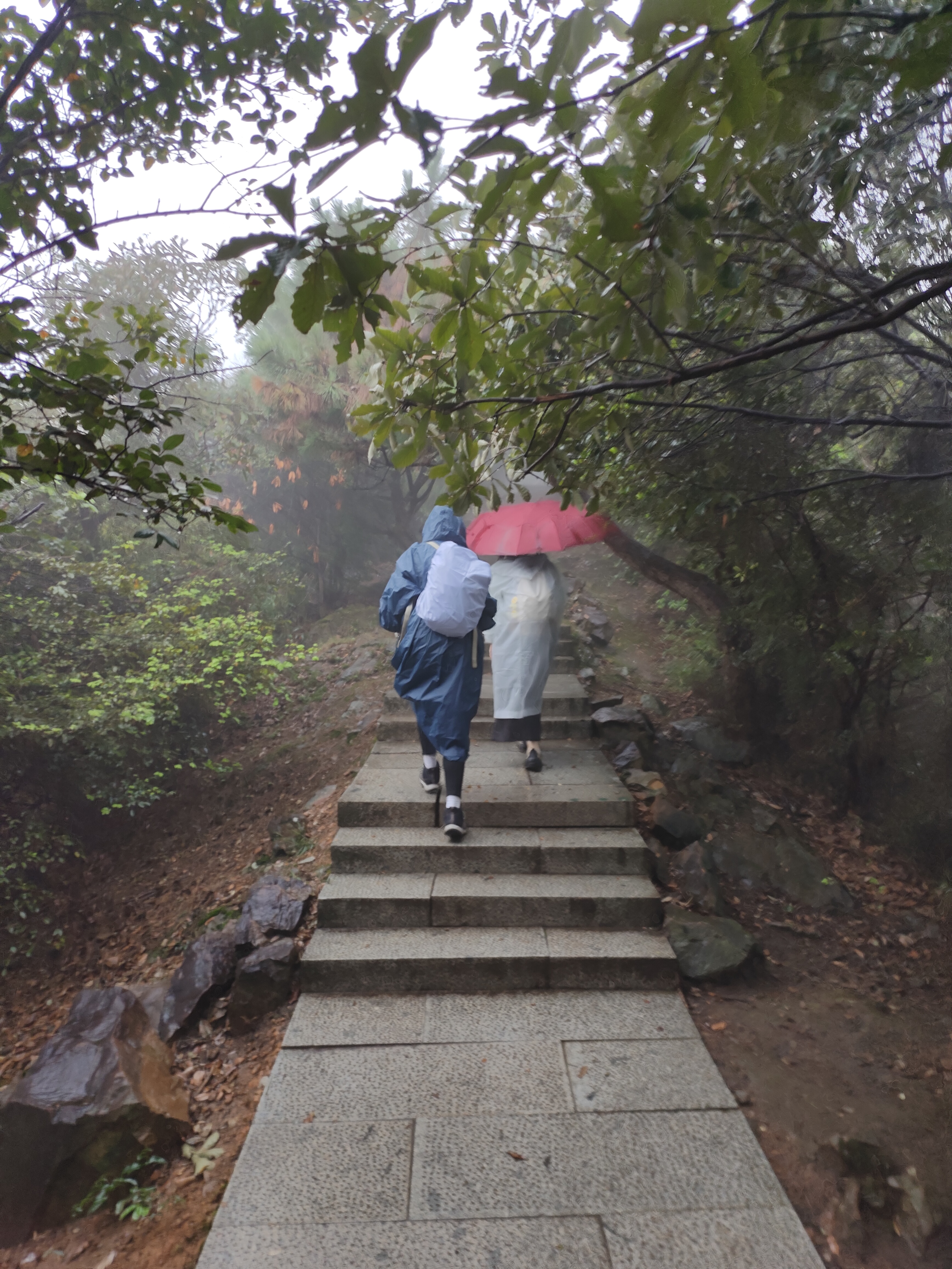 2024.10.15 满陇桂雨（二）