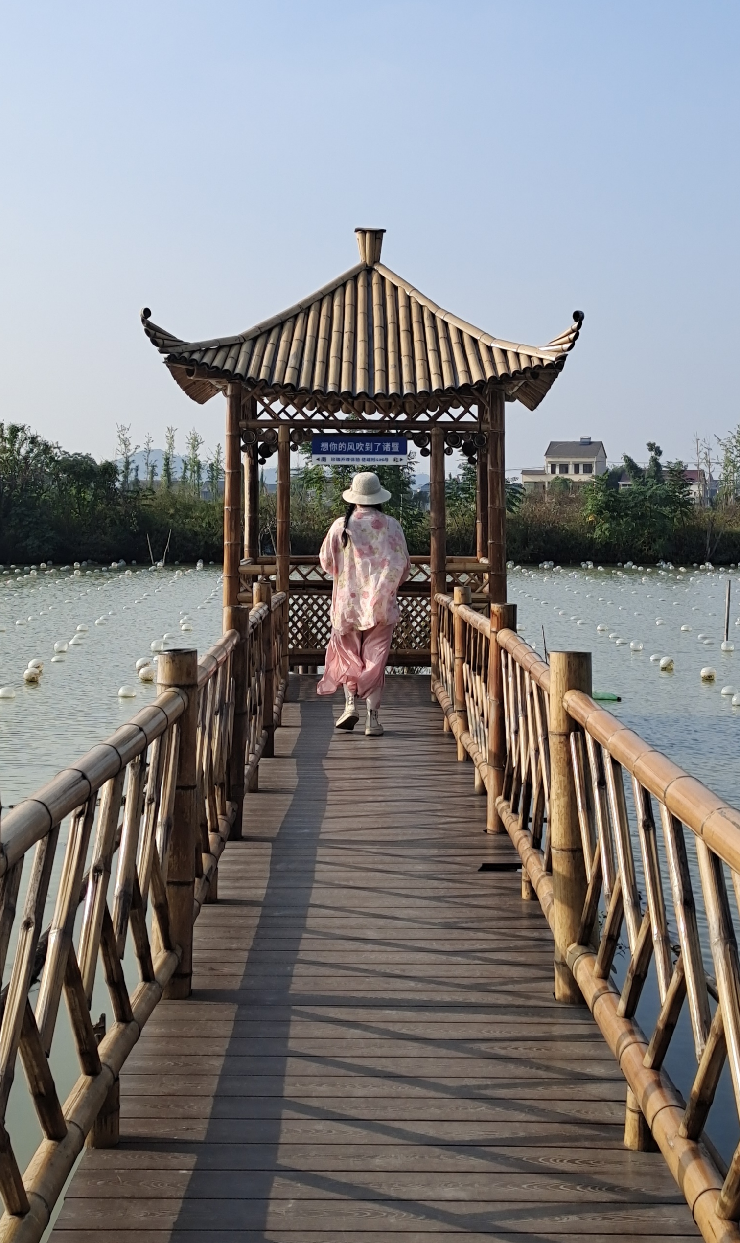 又又又来开珍珠了