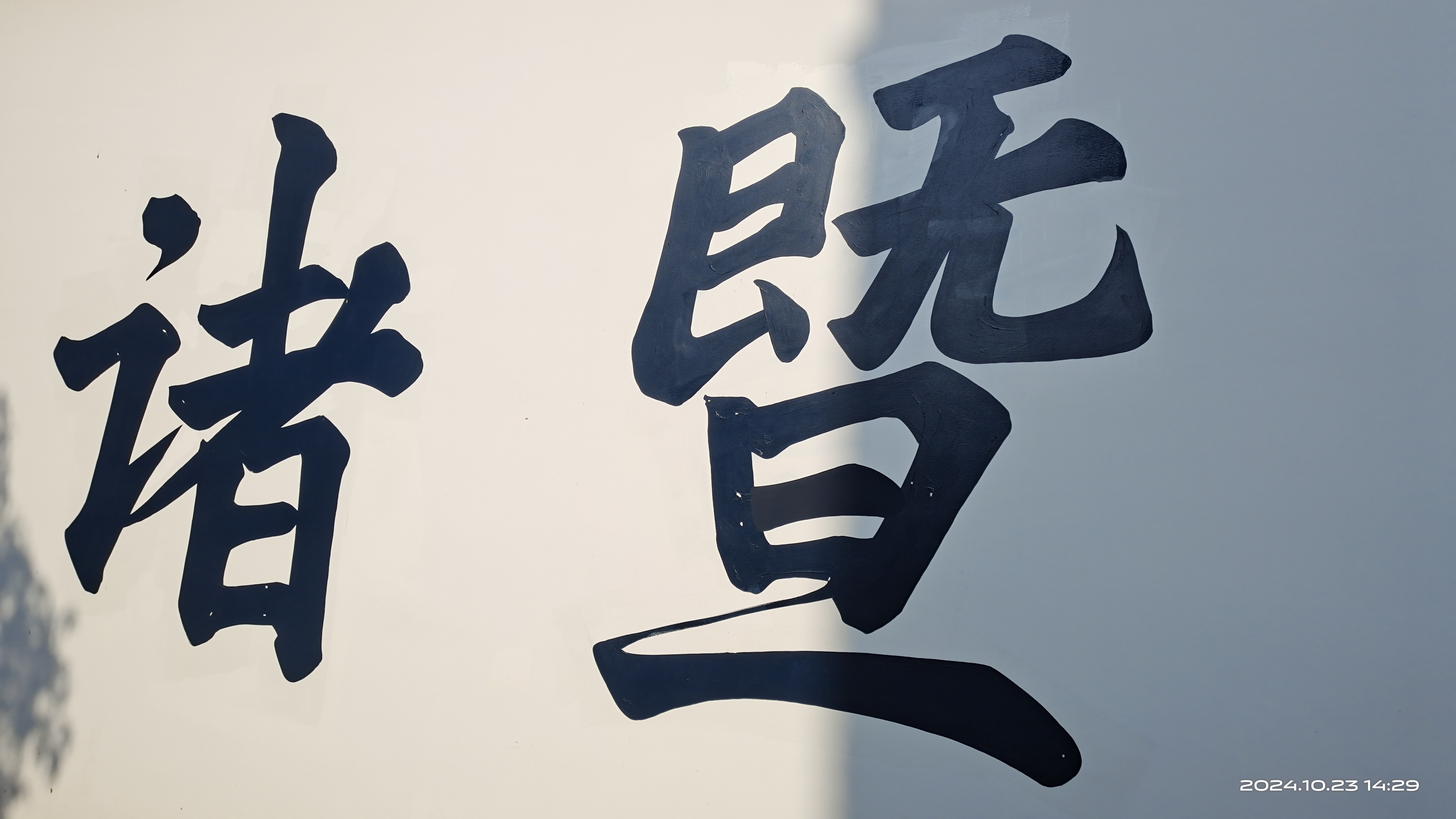 又又又来开珍珠了