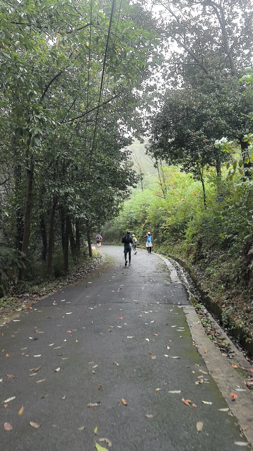 第三次参加西山登山节19年首次参加的时候好几个一块去年一个人冲也是下小雨今年是衣服湿透，雨在脸上胡乱拍还是走完了