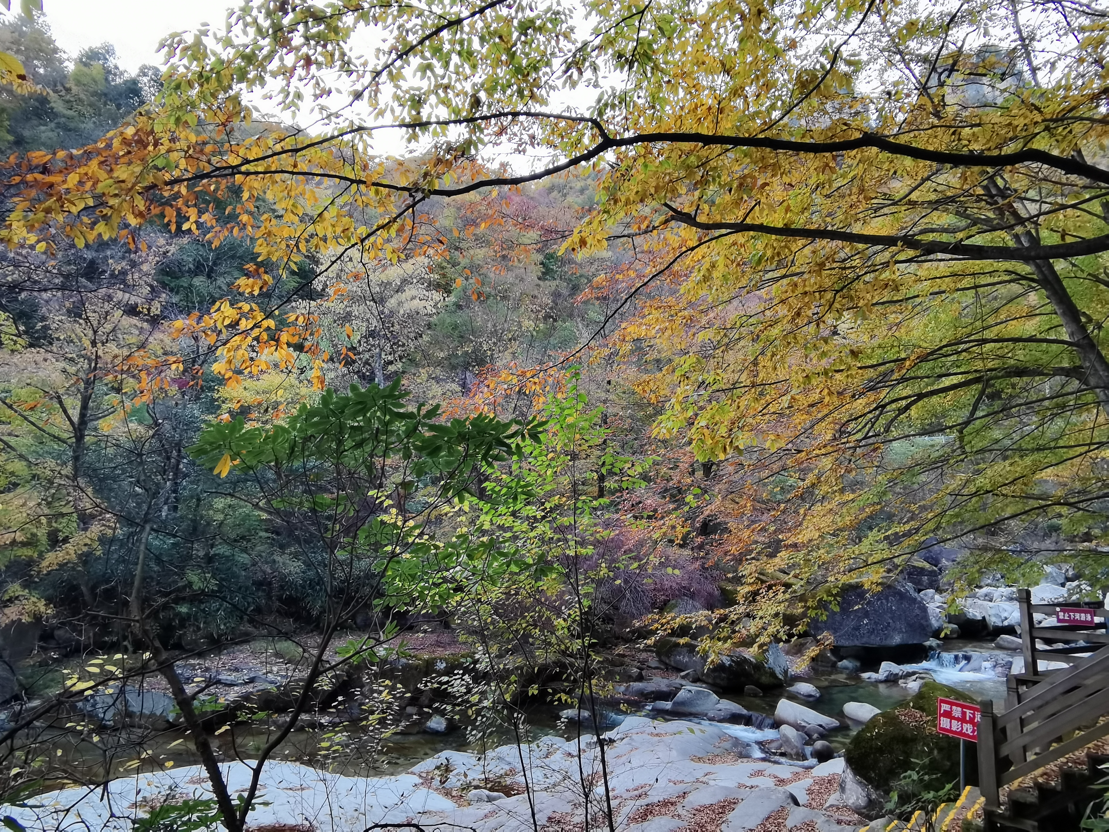 光雾山