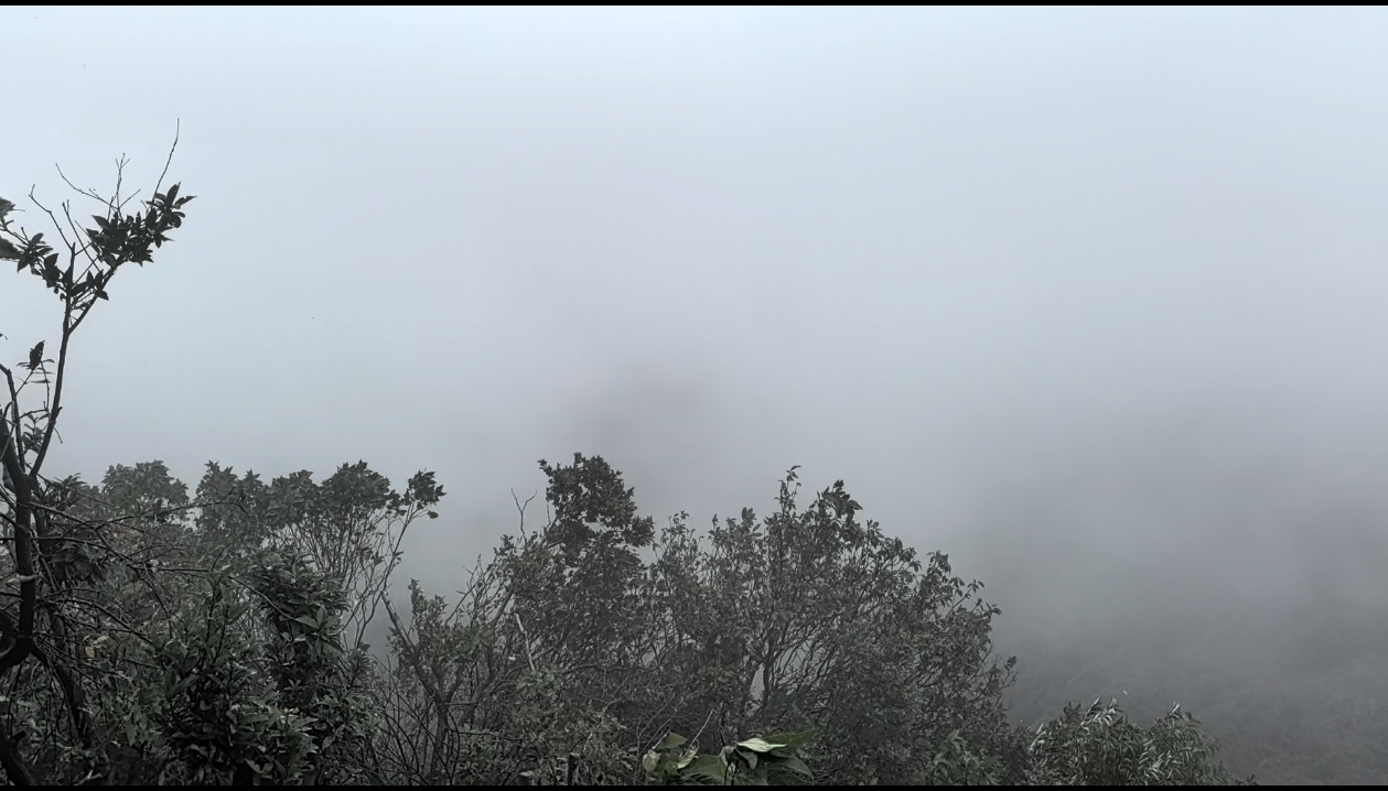 第三次参加西山登山节19年首次参加的时候好几个一块去年一个人冲也是下小雨今年是衣服湿透，雨在脸上胡乱拍还是走完了