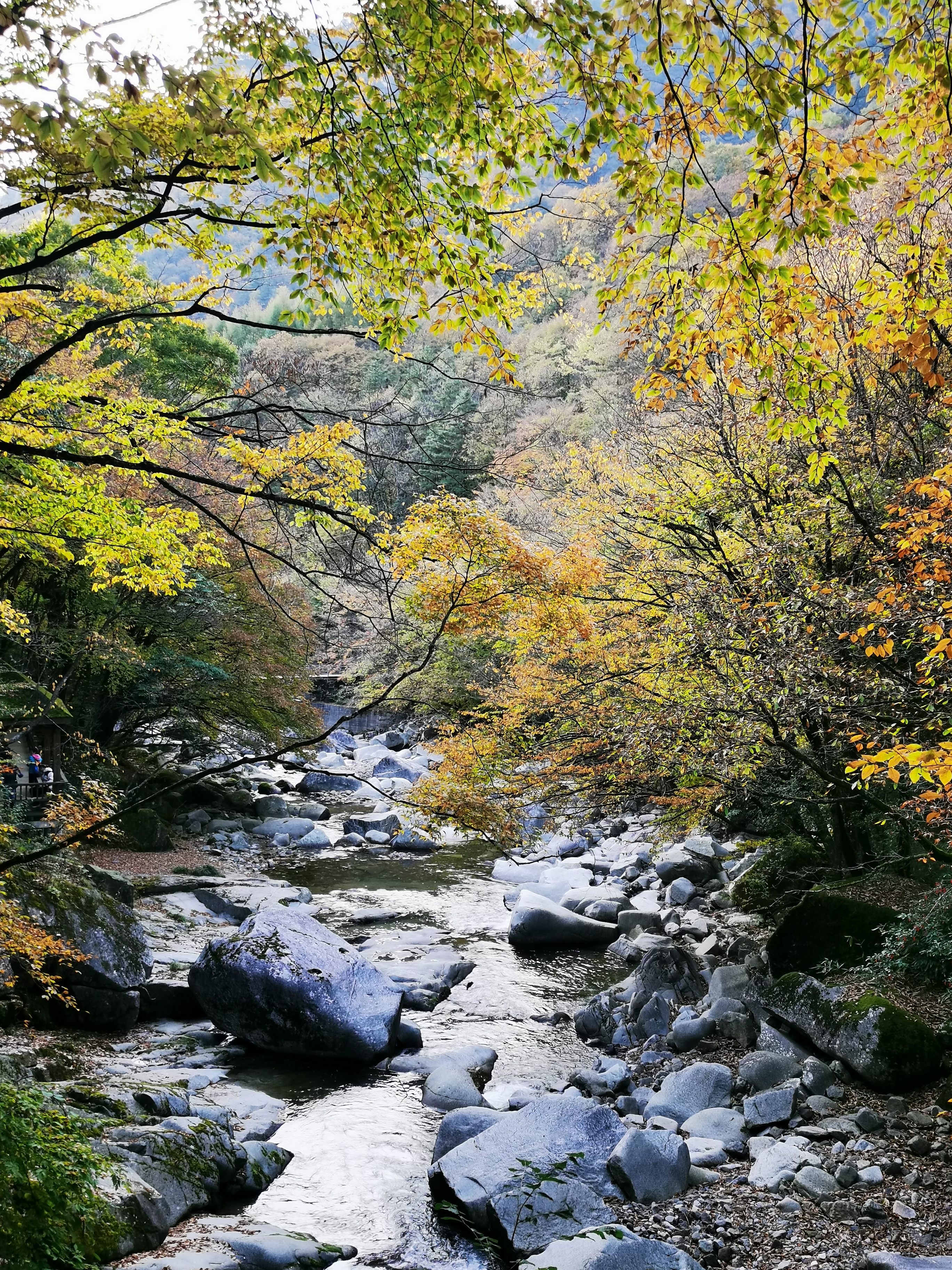 光雾山