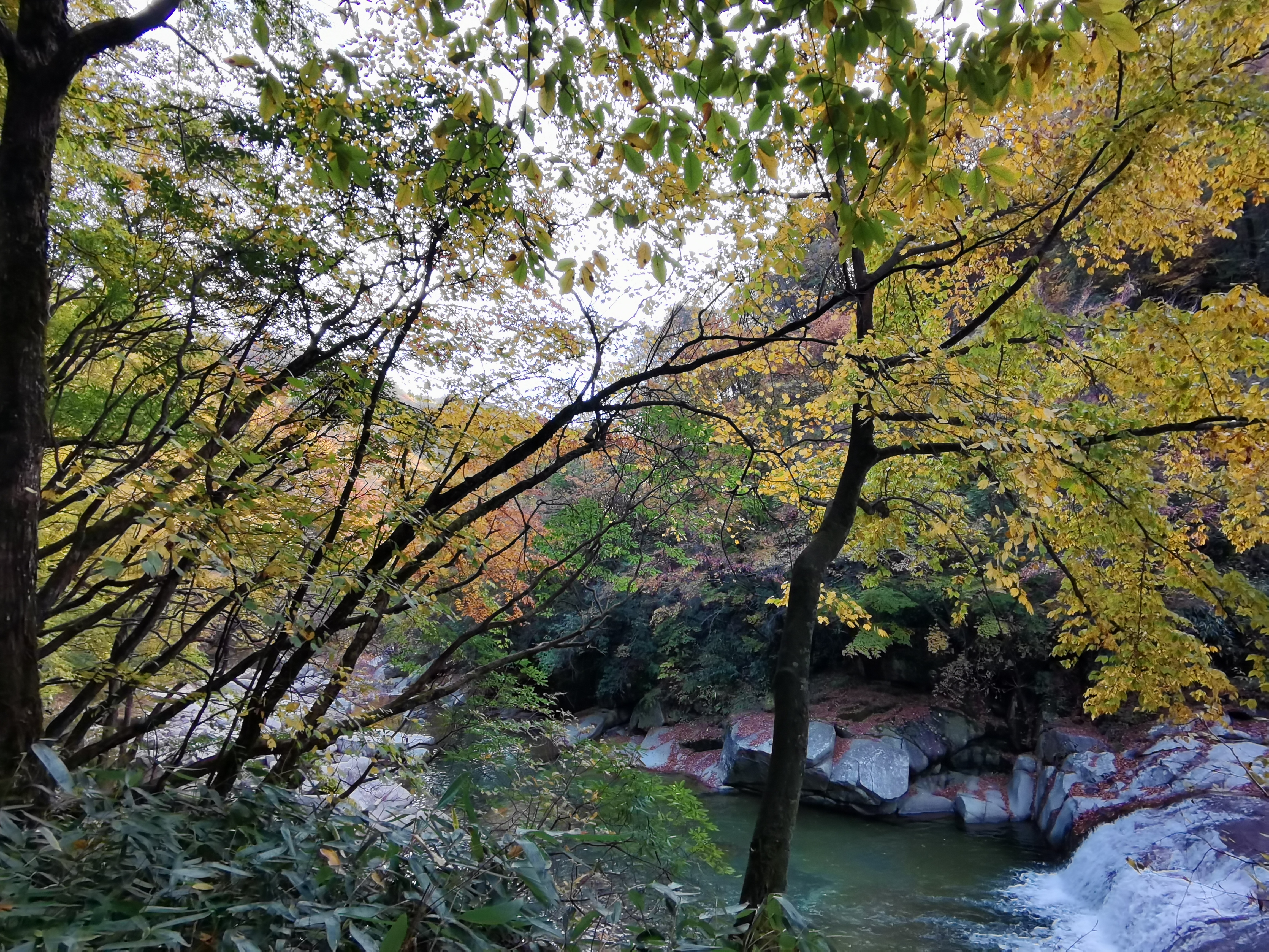 光雾山