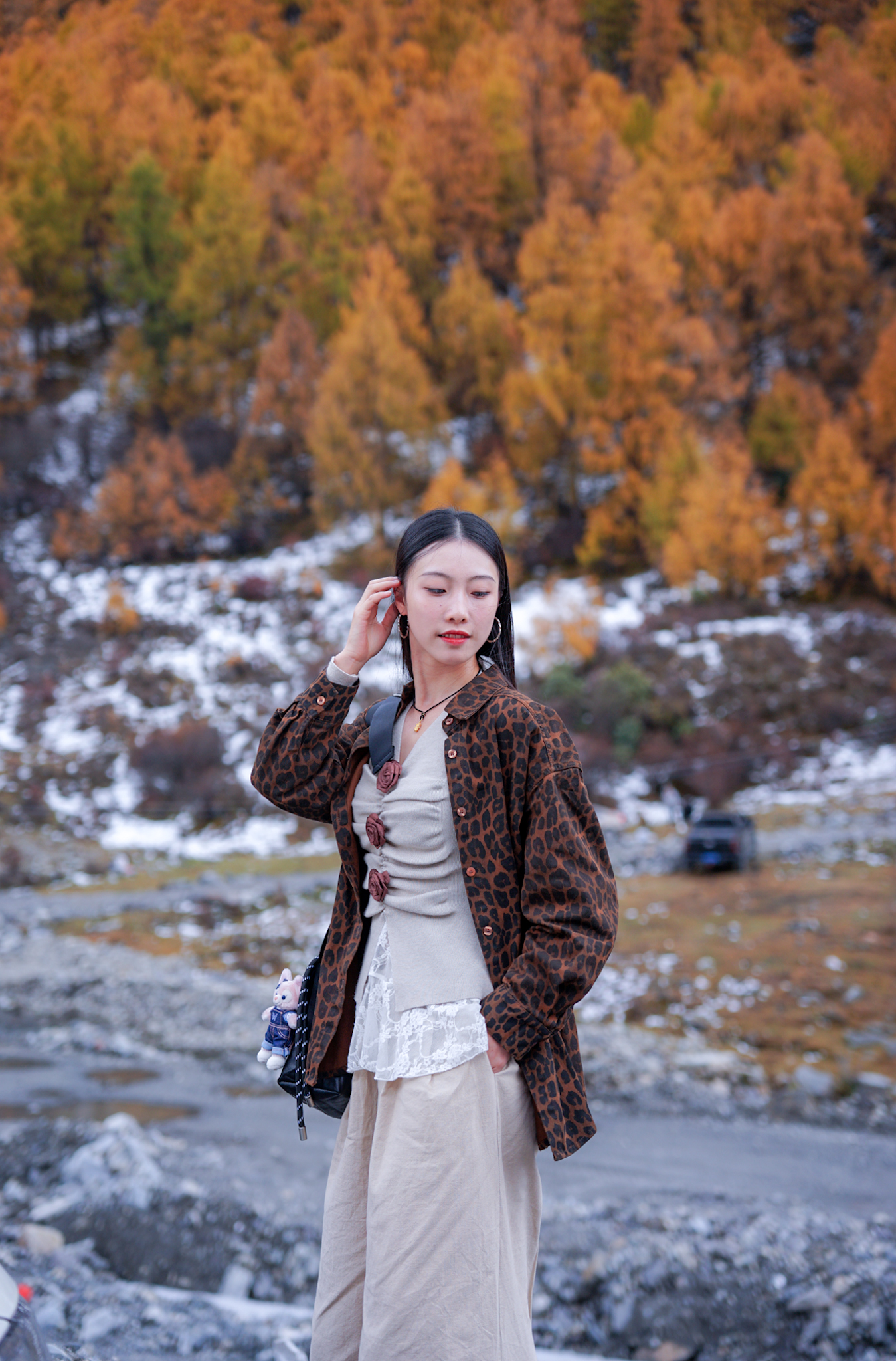理小路的彩林与雪