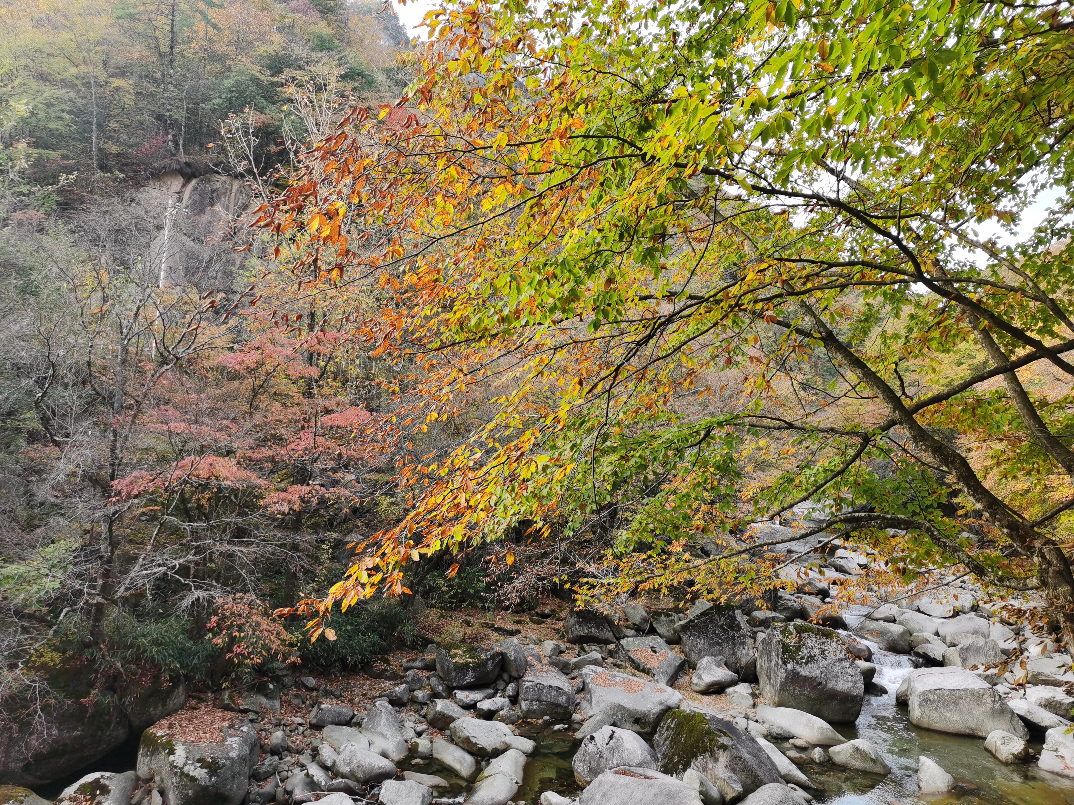 光雾山