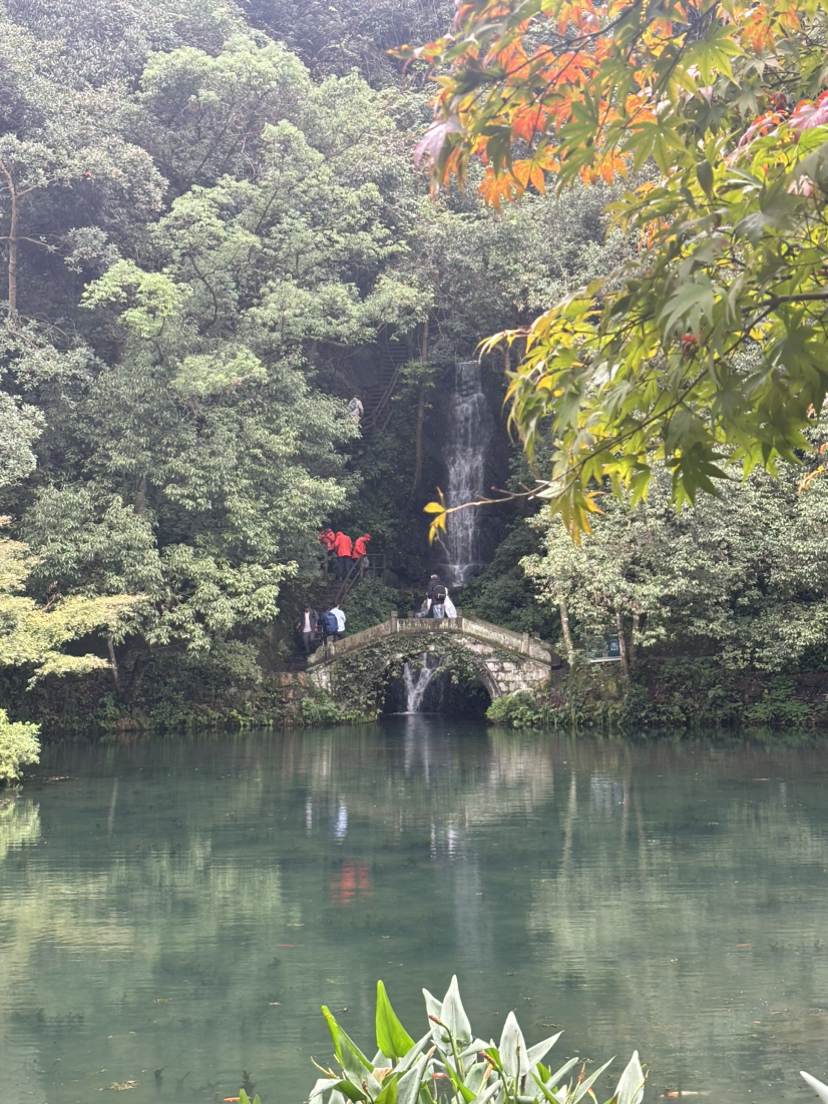 再走九溪烟树