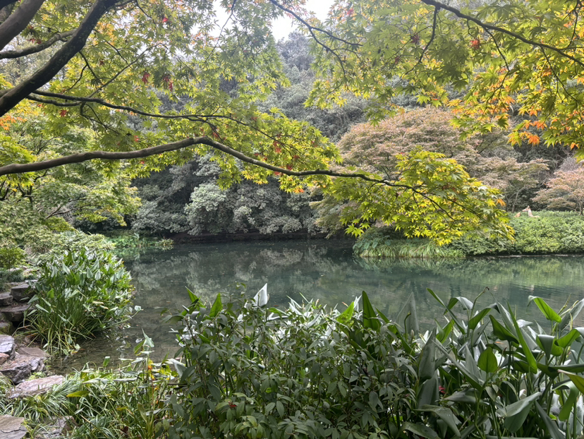 再走九溪烟树