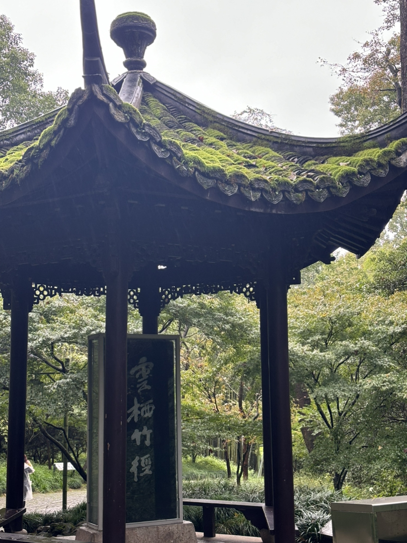 再走九溪烟树