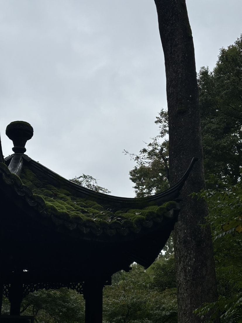 再走九溪烟树